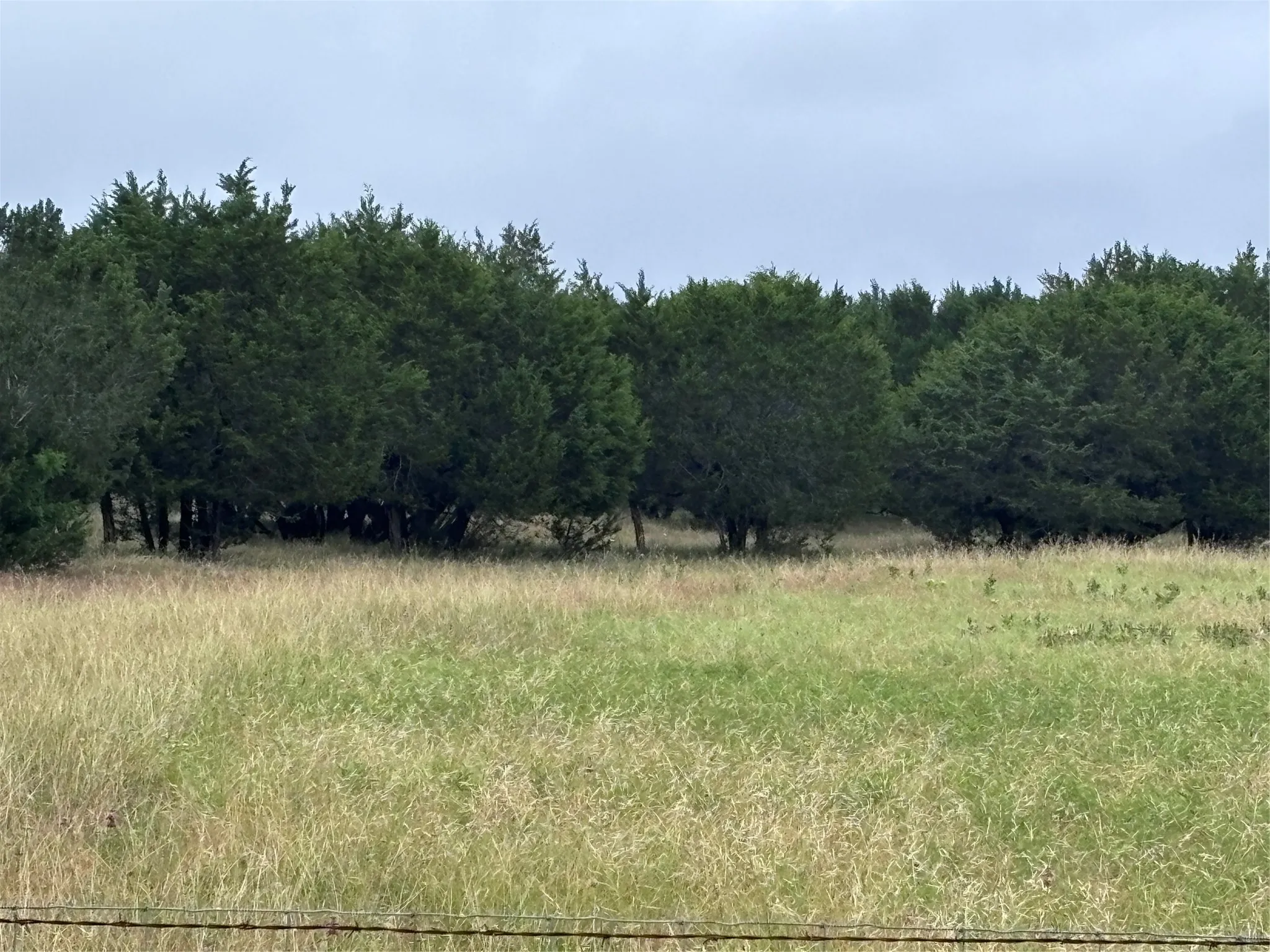 Improved Land For Sale in Bosque County , 929 CR 2357, Meridian, Texas 76665, 0, 0, Garage spaces, 0 Sqft, built in 0, Price $169,000, mls#21292431, Real Estate Agent in Meridian, Homes For Sale in Bosque county, Homes For Sale in Meridian, Realtor in Meridian Texas, Real Estate Brokerage Independent Realty Texas, Luminita Cordes Realtor