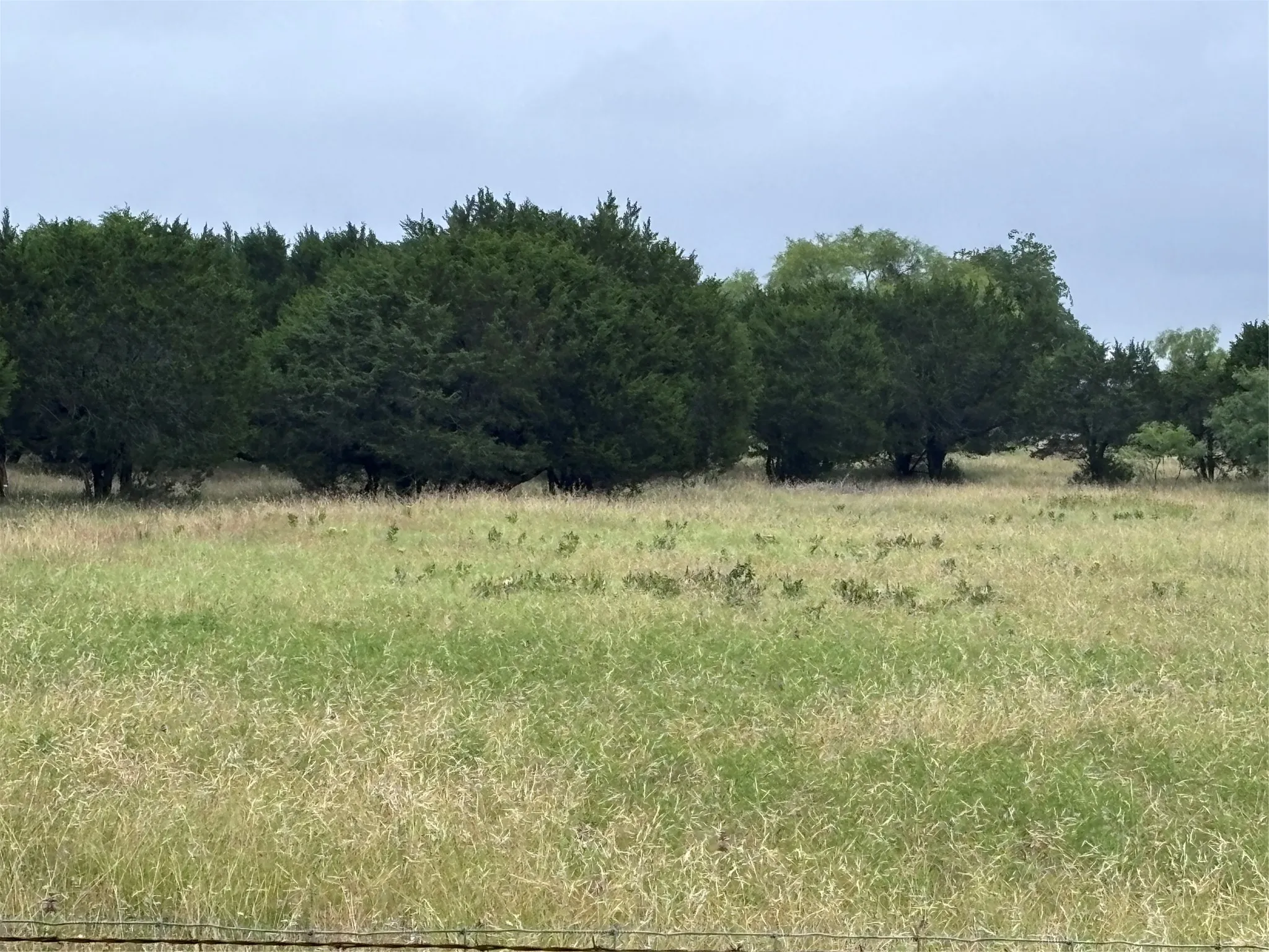 Improved Land For Sale in Bosque County , 929 CR 2357, Meridian, Texas 76665, 0, 0, Garage spaces, 0 Sqft, built in 0, Price $169,000, mls#21292431, Real Estate Agent in Meridian, Homes For Sale in Bosque county, Homes For Sale in Meridian, Realtor in Meridian Texas, Real Estate Brokerage Independent Realty Texas, Luminita Cordes Realtor
