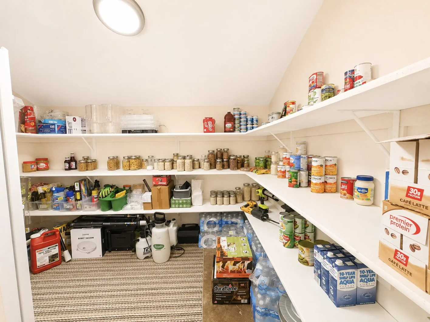 Spacious pantry featuring extensive wrap-around shelving, a textured carpeted floor, and overhead flush-mount lighting