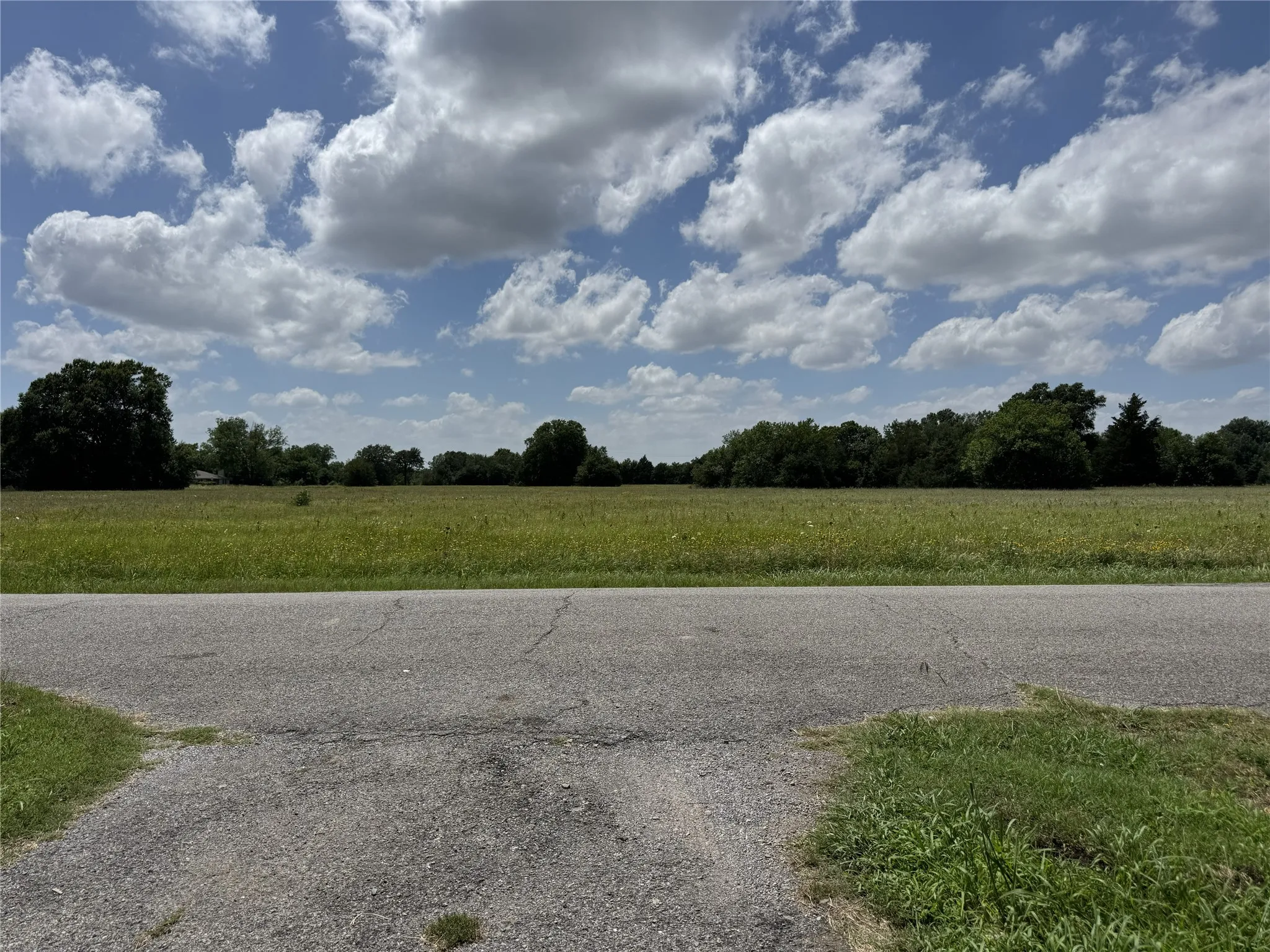 Expansive green pasture with natural tree line backdrop, bordered by a paved road
