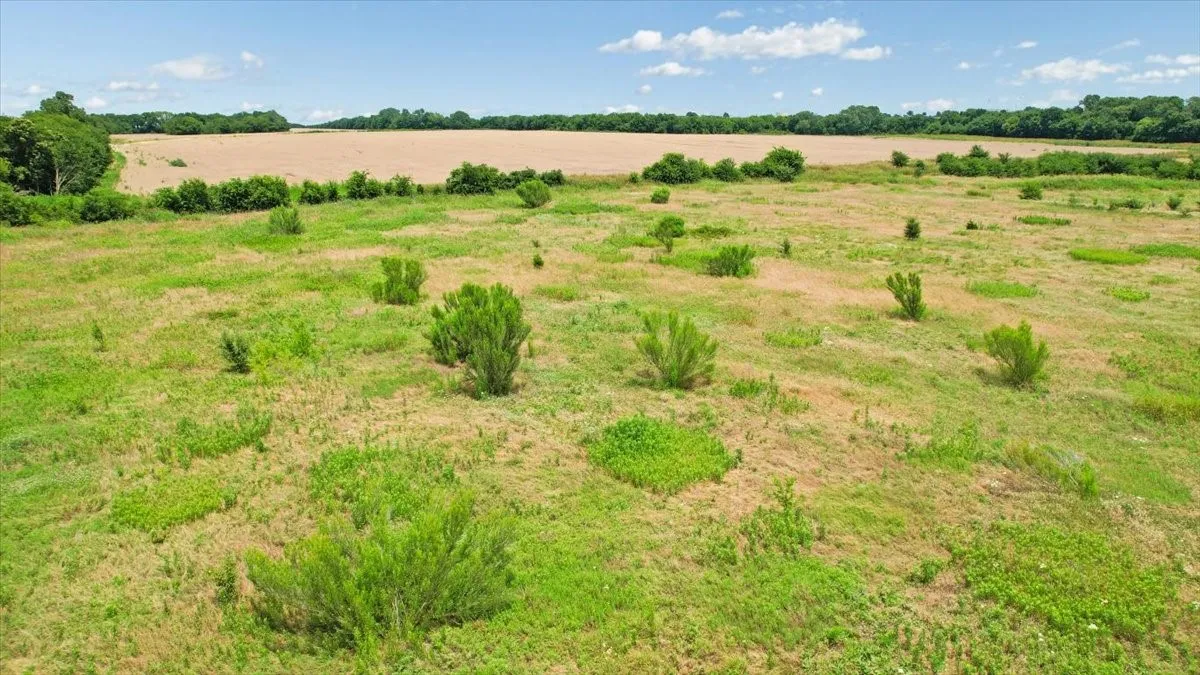 Unimproved Land For Sale in Grayson County , 00 FM 1417, Sherman, Texas 75076, 0, 0, Garage spaces, 0 Sqft, built in 0, Price $1,250,000, mls#21285899, Real Estate Agent in Sherman, Homes For Sale in Grayson county, Homes For Sale in Sherman, Realtor in Sherman Texas, Real Estate Brokerage Independent Realty Texas, Luminita Cordes Realtor