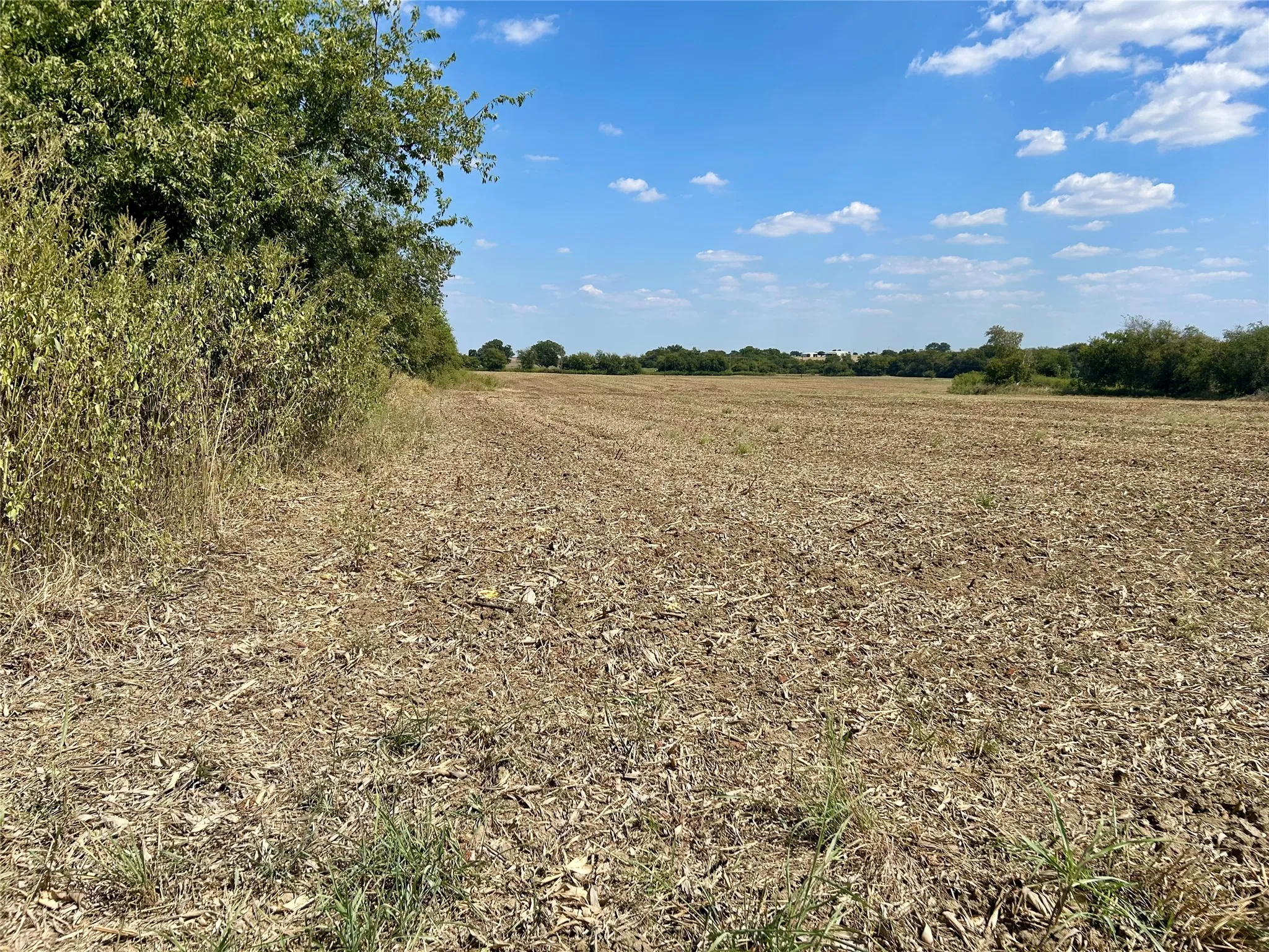 Unimproved Land For Sale in Hill County , Lot 3 HCR 1439, Covington, Texas 76636, 0, 0, Garage spaces, 0 Sqft, built in 0, Price $112,000, mls#21292547, Real Estate Agent in Covington, Homes For Sale in Hill county, Homes For Sale in Covington, Realtor in Covington Texas, Real Estate Brokerage Independent Realty Texas, Luminita Cordes Realtor