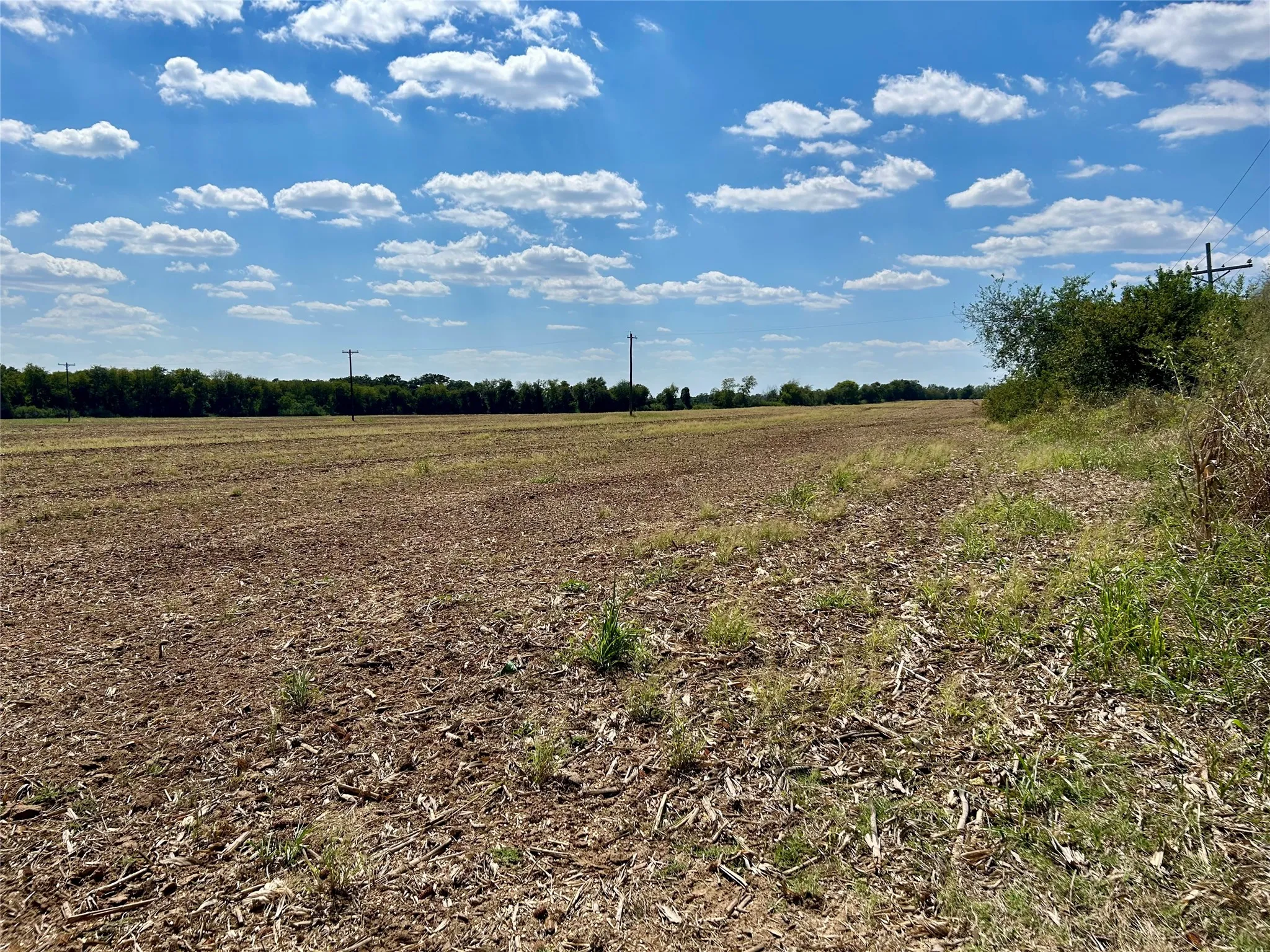 Unimproved Land For Sale in Hill County , Lot 3 HCR 1439, Covington, Texas 76636, 0, 0, Garage spaces, 0 Sqft, built in 0, Price $112,000, mls#21292547, Real Estate Agent in Covington, Homes For Sale in Hill county, Homes For Sale in Covington, Realtor in Covington Texas, Real Estate Brokerage Independent Realty Texas, Luminita Cordes Realtor