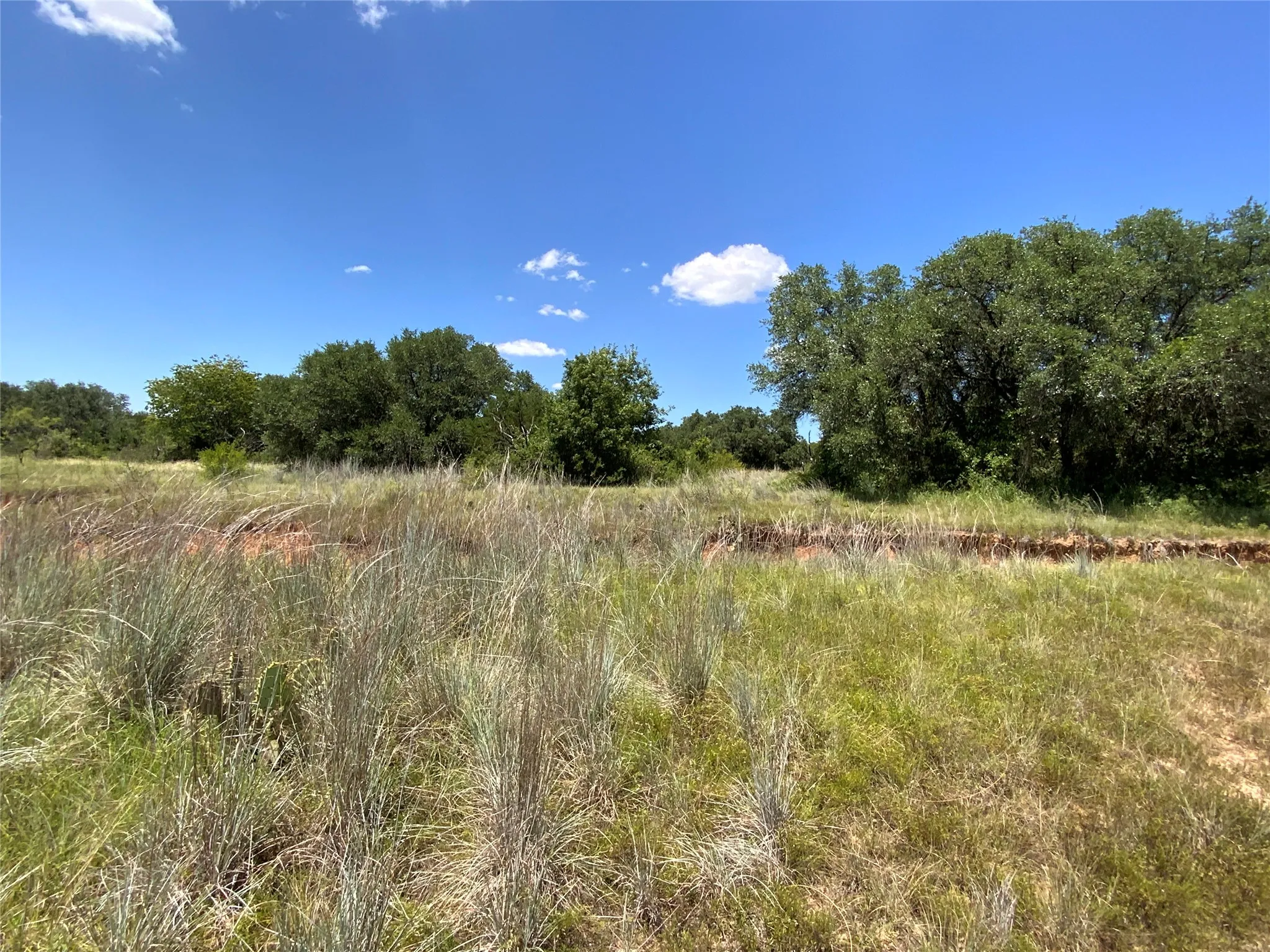 Ranch For Sale in Comanche County , 235 County Road 343, Dublin, Texas 76446, 0, 0, Garage spaces, 0 Sqft, built in 2008, Price $875,000, mls#21292112, Real Estate Agent in Dublin, Homes For Sale in Comanche county, Homes For Sale in Dublin, Realtor in Dublin Texas, Real Estate Brokerage Independent Realty Texas, Luminita Cordes Realtor