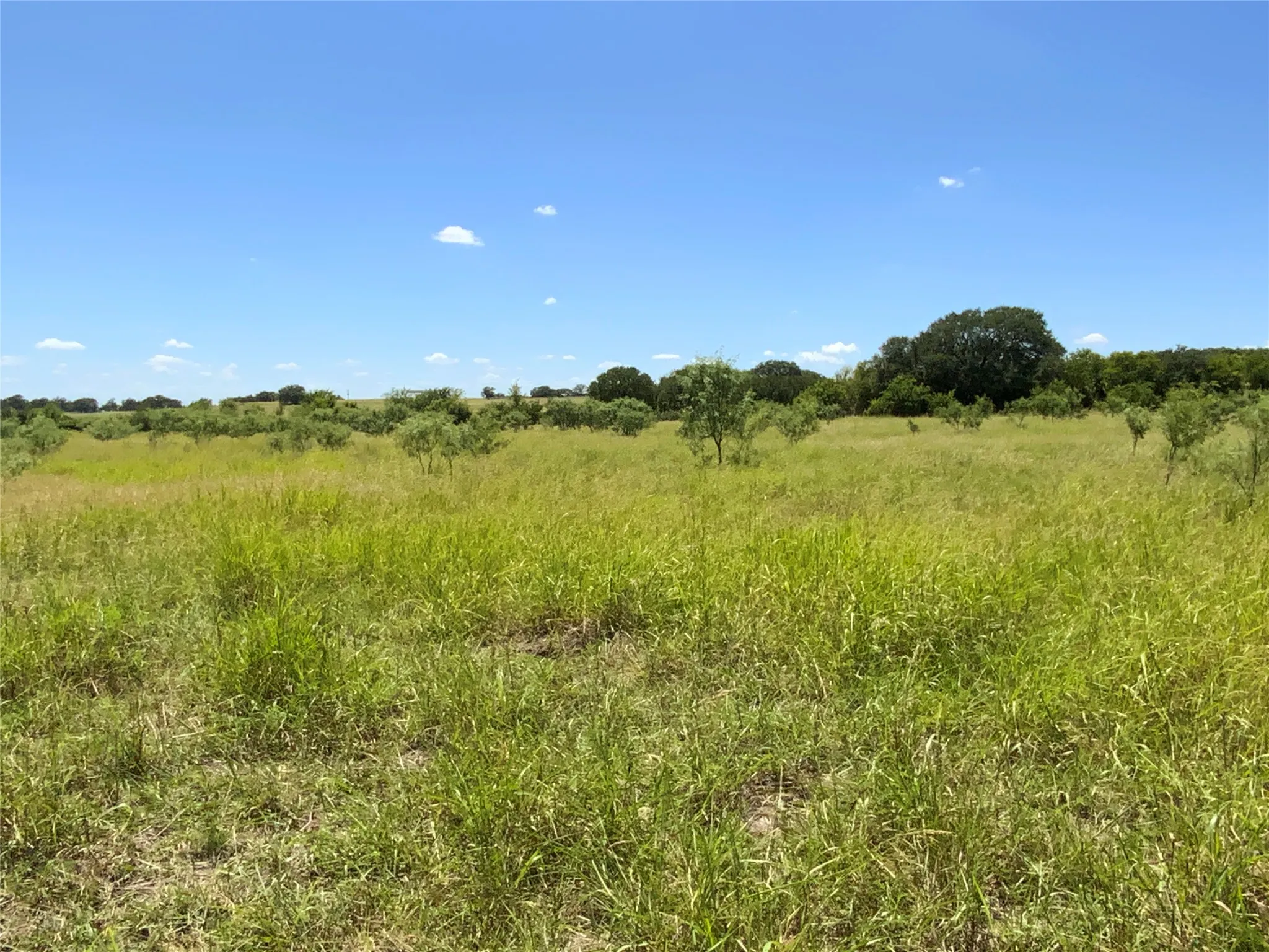Ranch For Sale in Comanche County , 235 County Road 343, Dublin, Texas 76446, 0, 0, Garage spaces, 0 Sqft, built in 2008, Price $875,000, mls#21292112, Real Estate Agent in Dublin, Homes For Sale in Comanche county, Homes For Sale in Dublin, Realtor in Dublin Texas, Real Estate Brokerage Independent Realty Texas, Luminita Cordes Realtor