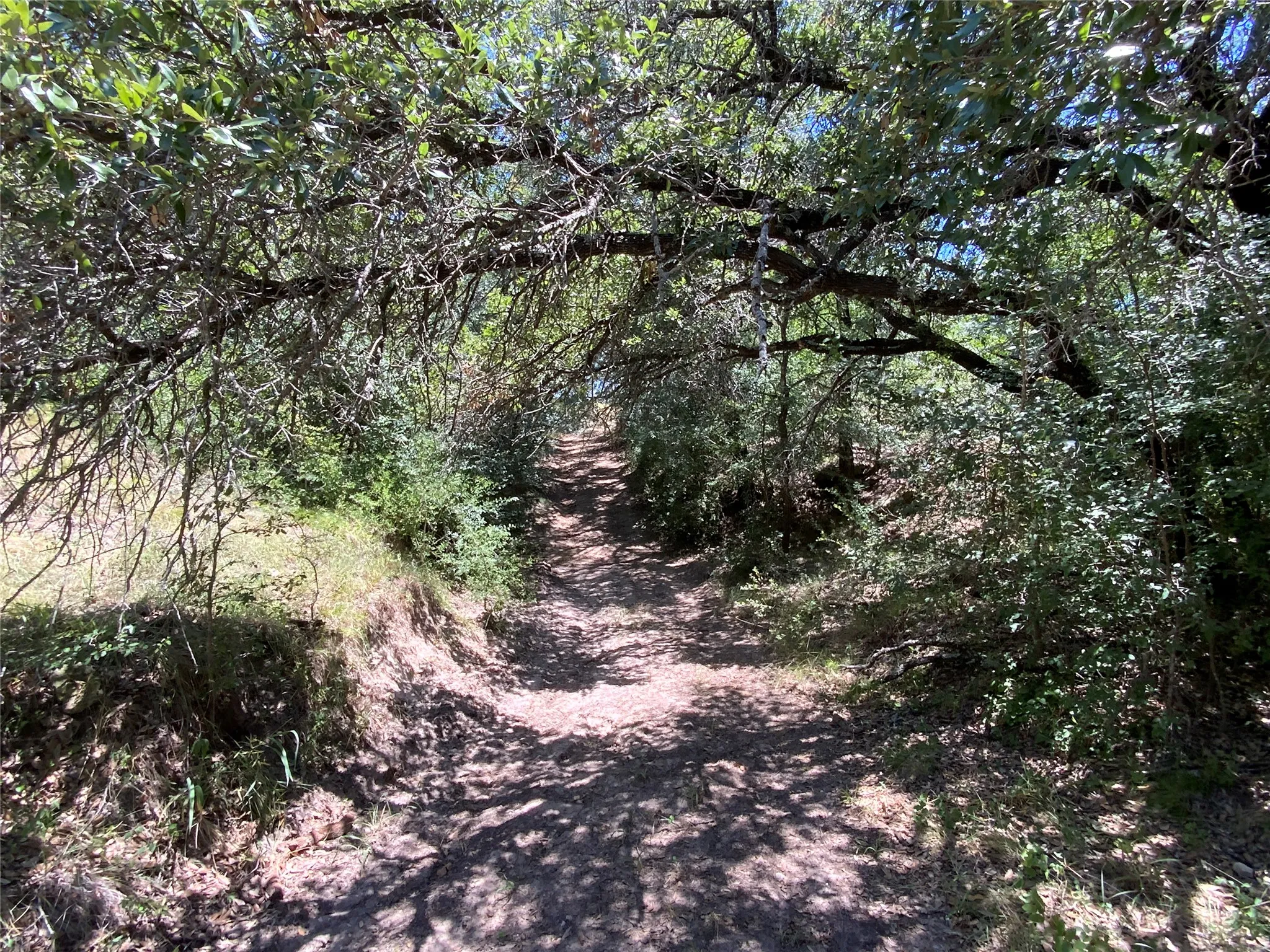 Ranch For Sale in Comanche County , 235 County Road 343, Dublin, Texas 76446, 0, 0, Garage spaces, 0 Sqft, built in 2008, Price $875,000, mls#21292112, Real Estate Agent in Dublin, Homes For Sale in Comanche county, Homes For Sale in Dublin, Realtor in Dublin Texas, Real Estate Brokerage Independent Realty Texas, Luminita Cordes Realtor