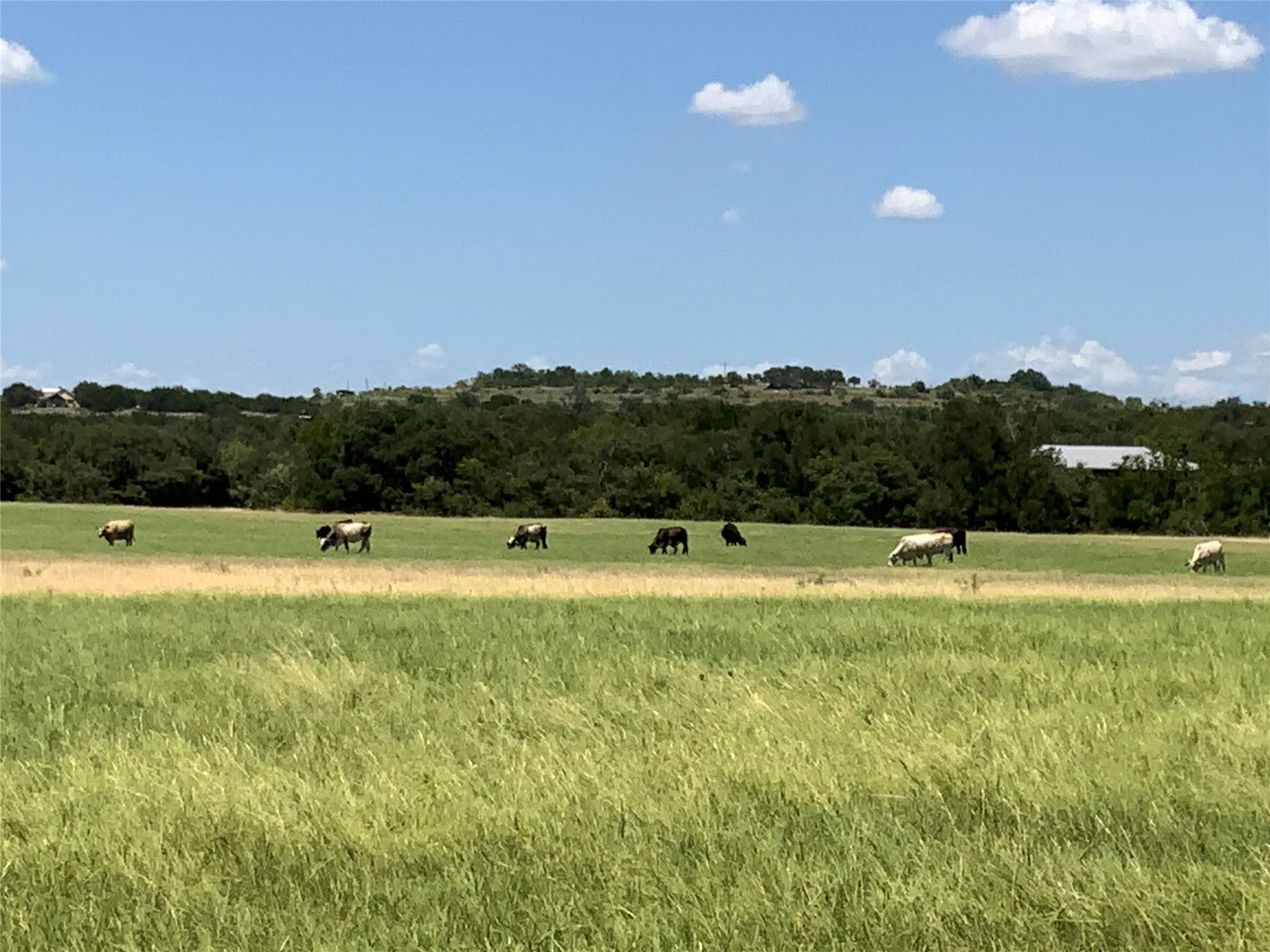 Ranch For Sale in Comanche County , 235 County Road 343, Dublin, Texas 76446, 0, 0, Garage spaces, 0 Sqft, built in 2008, Price $875,000, mls#21292112, Real Estate Agent in Dublin, Homes For Sale in Comanche county, Homes For Sale in Dublin, Realtor in Dublin Texas, Real Estate Brokerage Independent Realty Texas, Luminita Cordes Realtor