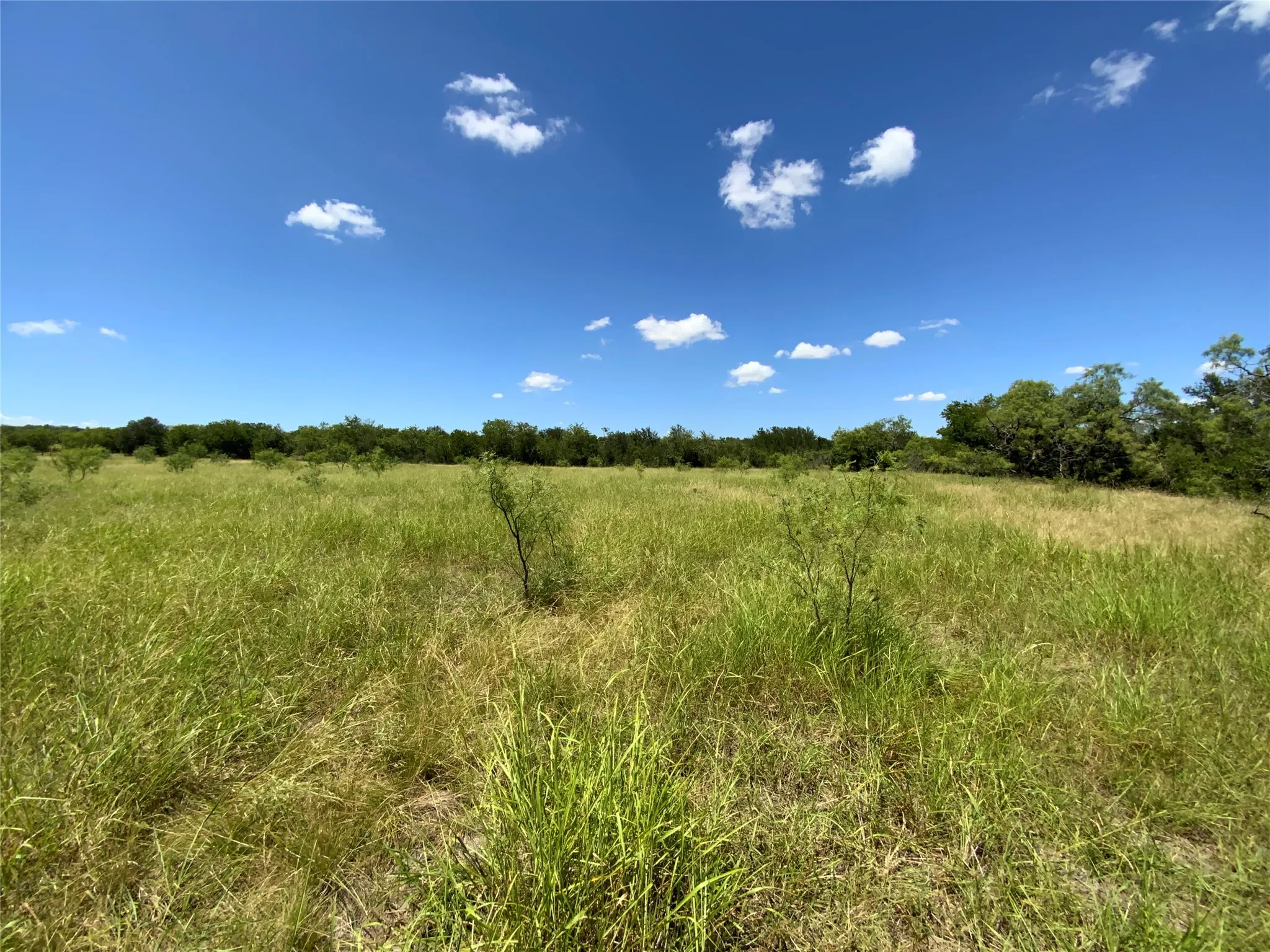 Ranch For Sale in Comanche County , 235 County Road 343, Dublin, Texas 76446, 0, 0, Garage spaces, 0 Sqft, built in 2008, Price $875,000, mls#21292112, Real Estate Agent in Dublin, Homes For Sale in Comanche county, Homes For Sale in Dublin, Realtor in Dublin Texas, Real Estate Brokerage Independent Realty Texas, Luminita Cordes Realtor