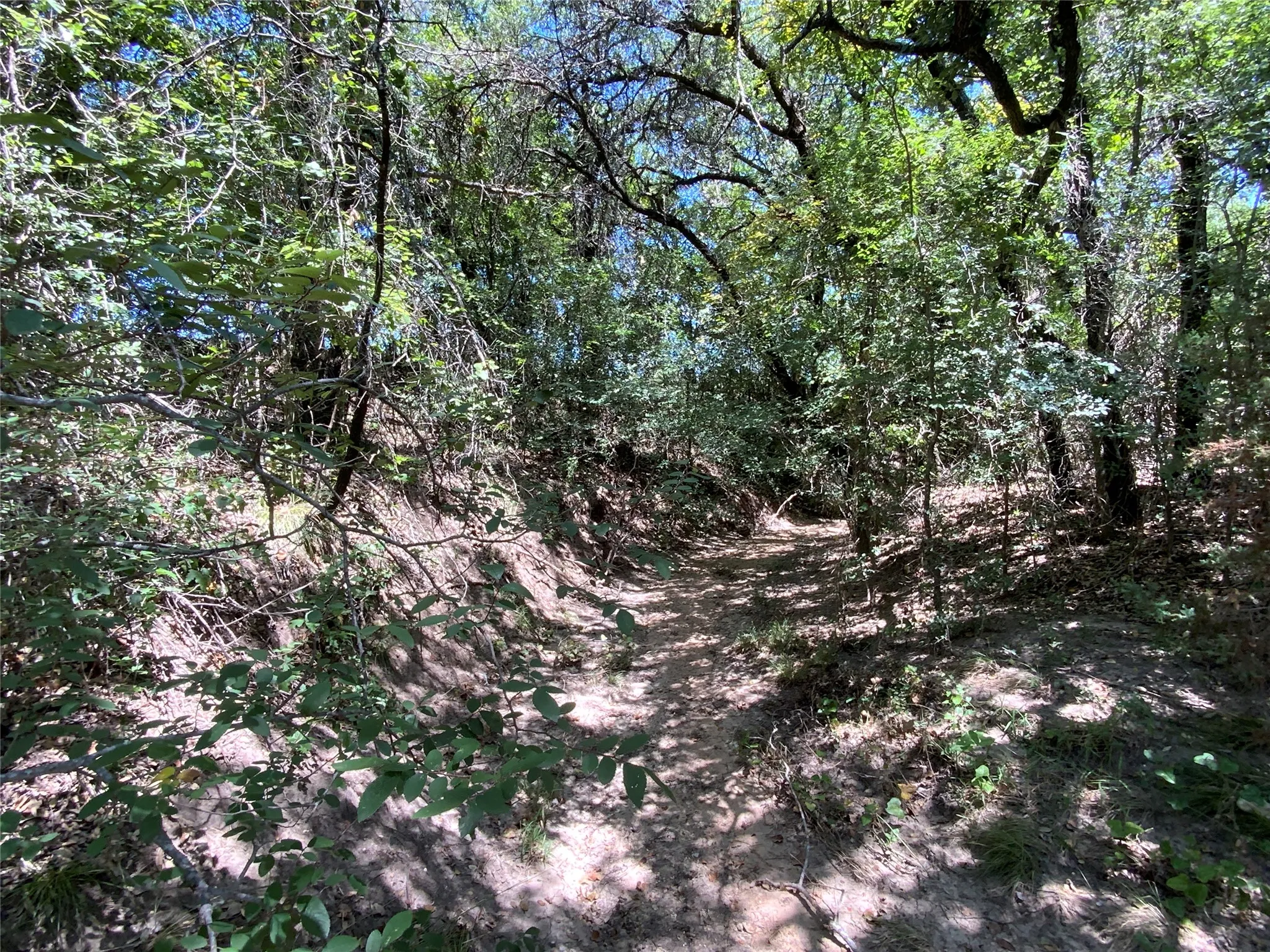 Ranch For Sale in Comanche County , 235 County Road 343, Dublin, Texas 76446, 0, 0, Garage spaces, 0 Sqft, built in 2008, Price $875,000, mls#21292112, Real Estate Agent in Dublin, Homes For Sale in Comanche county, Homes For Sale in Dublin, Realtor in Dublin Texas, Real Estate Brokerage Independent Realty Texas, Luminita Cordes Realtor