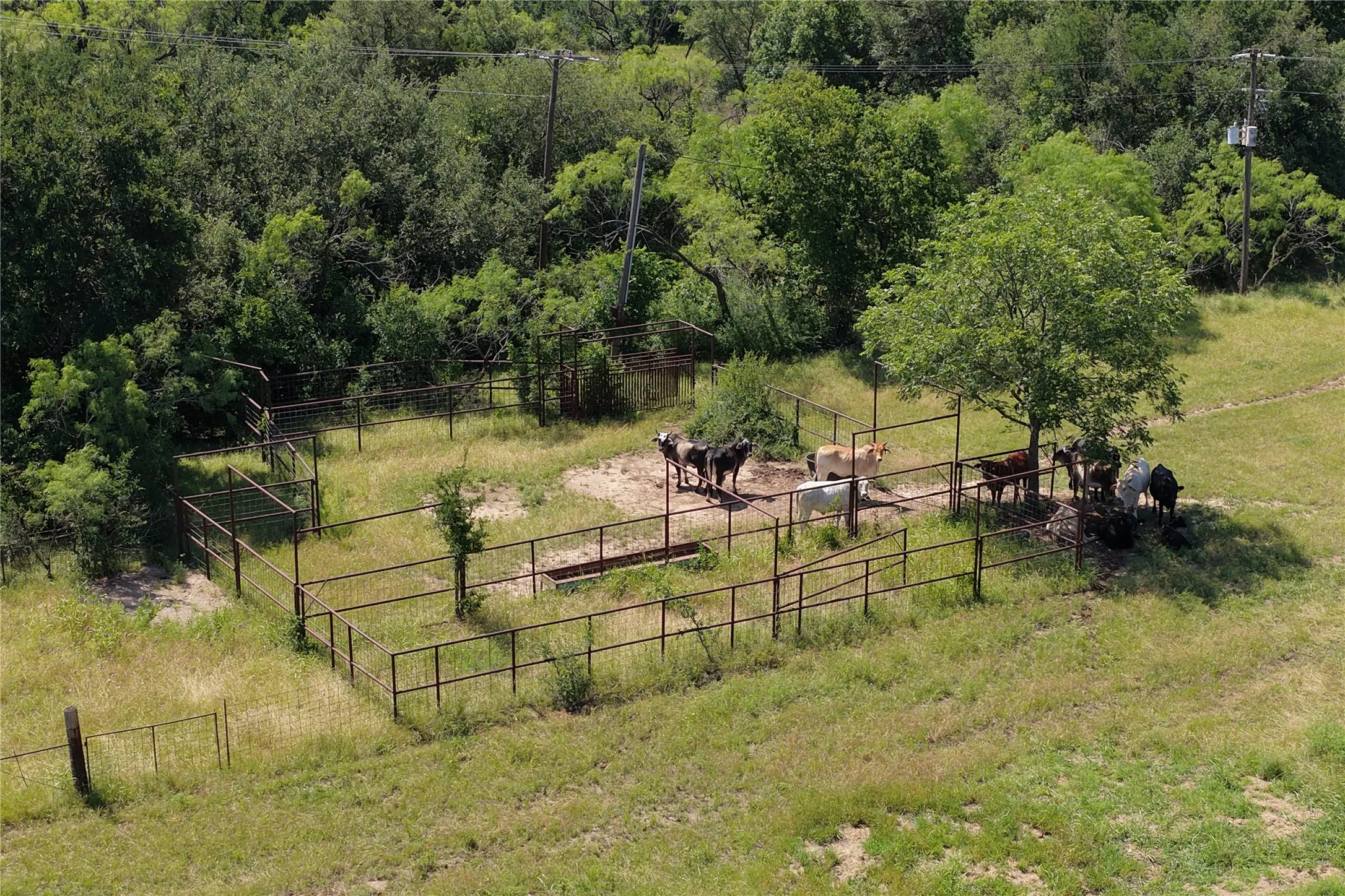 Ranch For Sale in Comanche County , 235 County Road 343, Dublin, Texas 76446, 0, 0, Garage spaces, 0 Sqft, built in 2008, Price $875,000, mls#21292112, Real Estate Agent in Dublin, Homes For Sale in Comanche county, Homes For Sale in Dublin, Realtor in Dublin Texas, Real Estate Brokerage Independent Realty Texas, Luminita Cordes Realtor