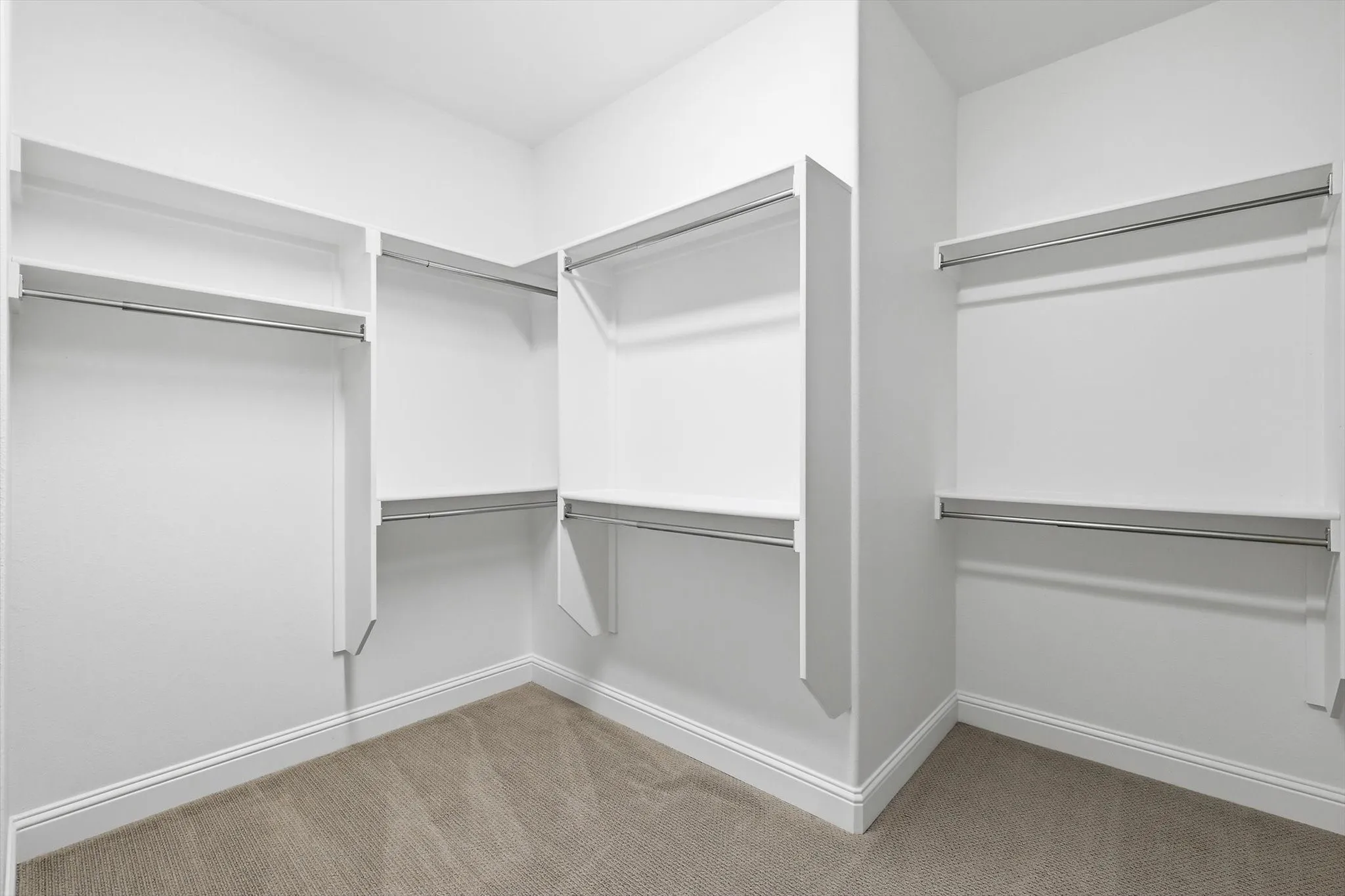 Walk-in closet featuring white built-in shelving, multiple hanging rods, and neutral carpet flooring