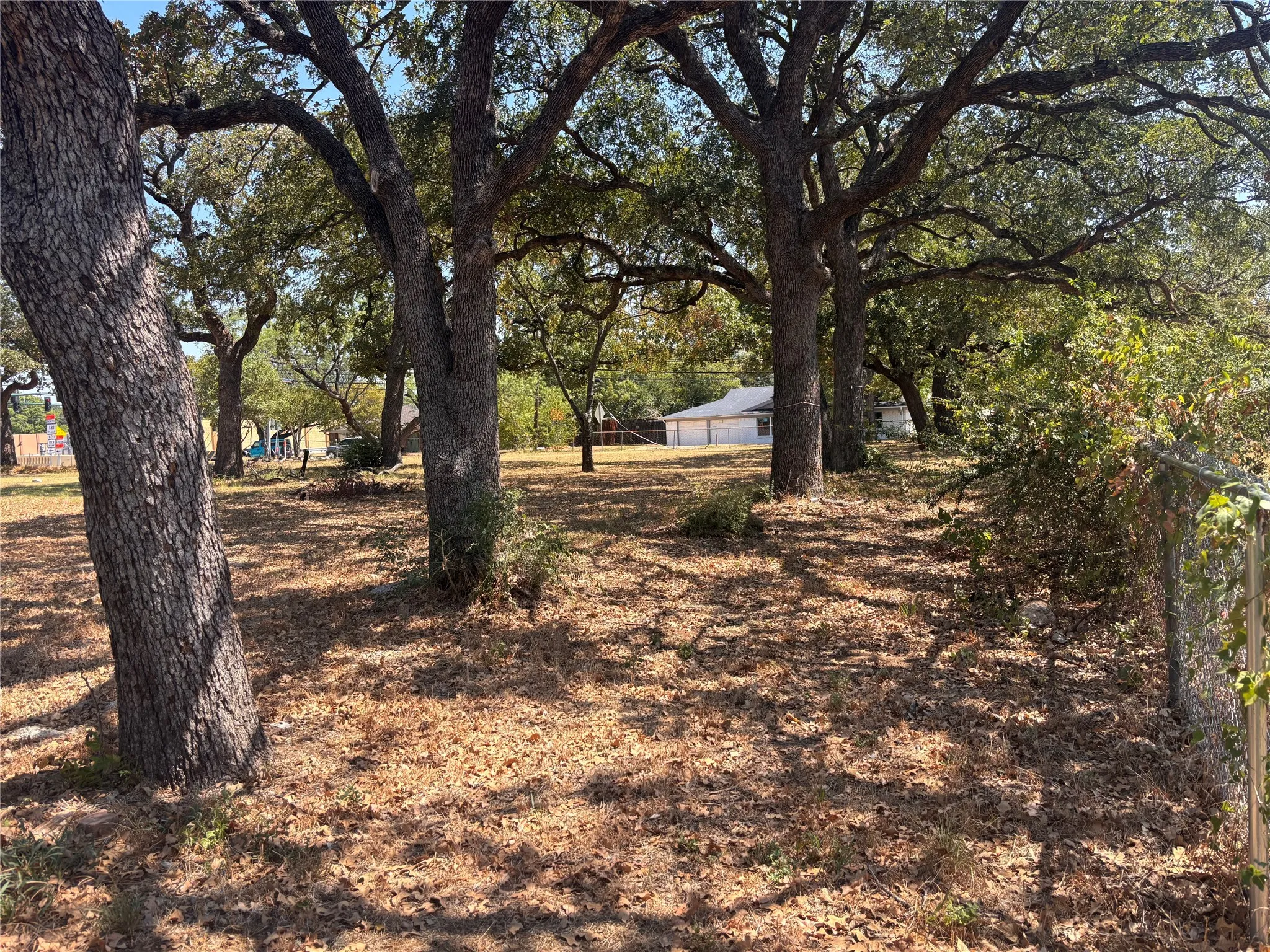 Mature trees providing natural shade