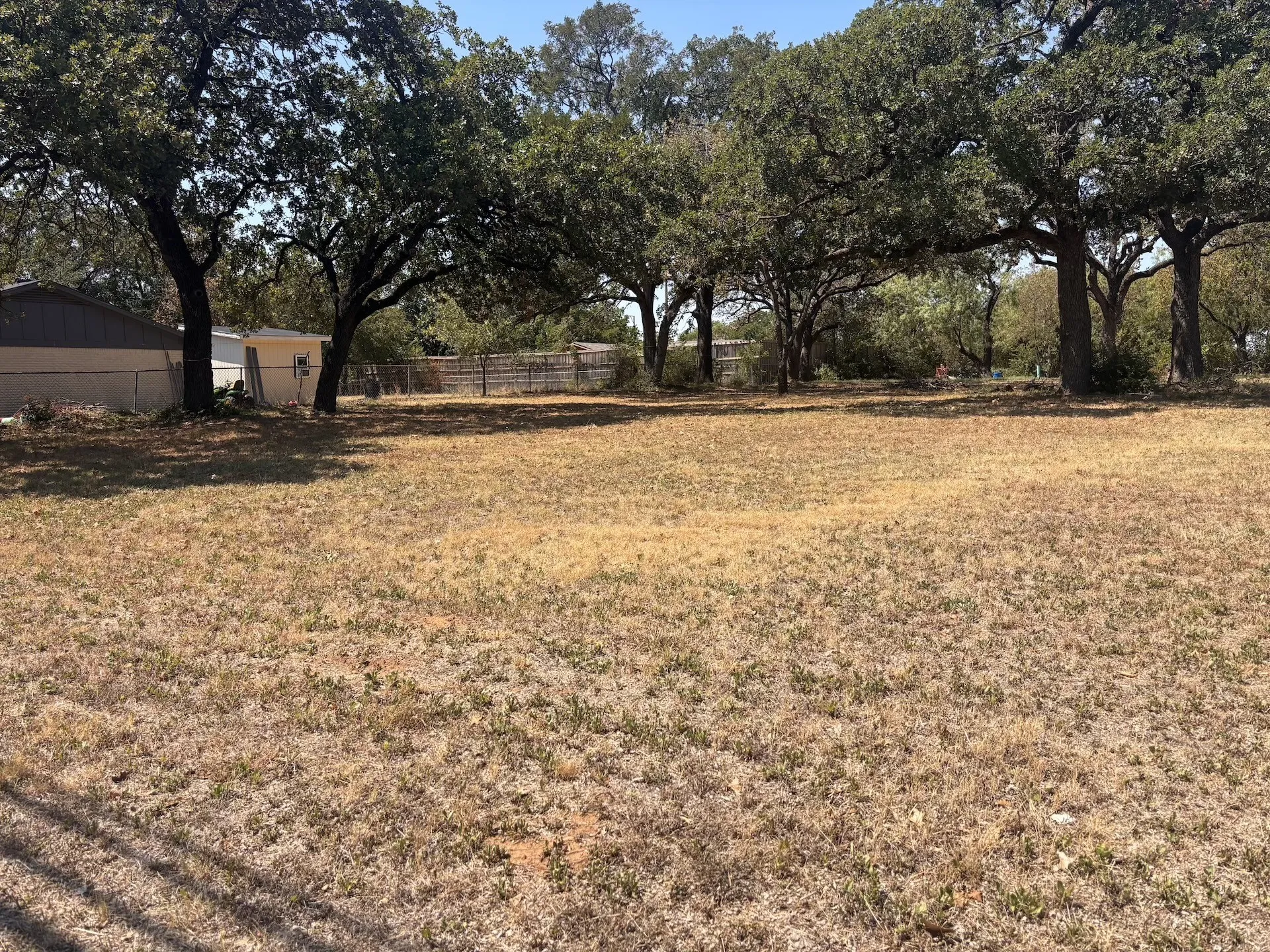 Expansive lot with mature trees and partial fencing