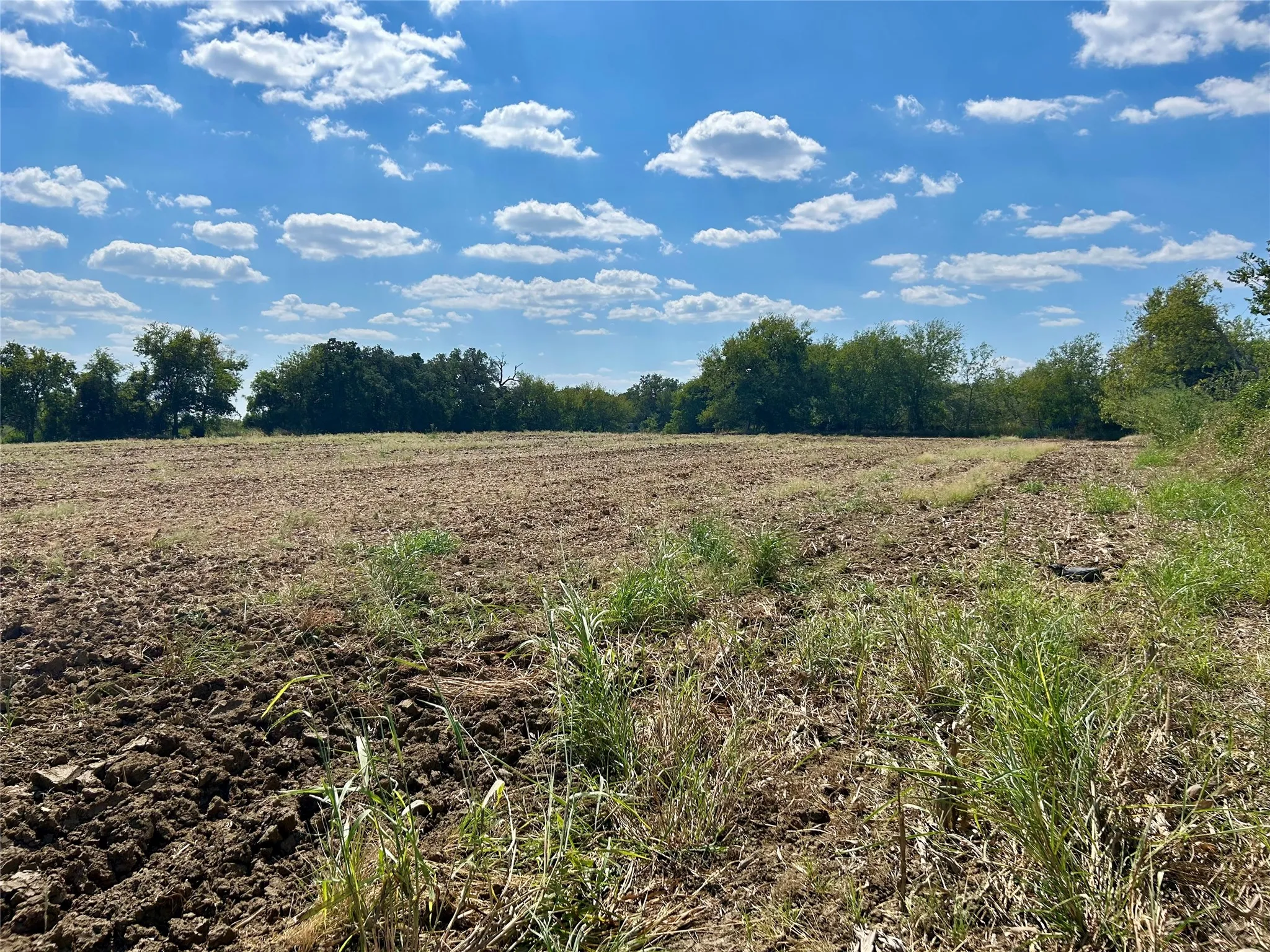 Unimproved Land For Sale in Hill County , Lot 11 HCR 1439, Covington, Texas 76636, 0, 0, Garage spaces, 0 Sqft, built in 0, Price $112,000, mls#21292619, Real Estate Agent in Covington, Homes For Sale in Hill county, Homes For Sale in Covington, Realtor in Covington Texas, Real Estate Brokerage Independent Realty Texas, Luminita Cordes Realtor