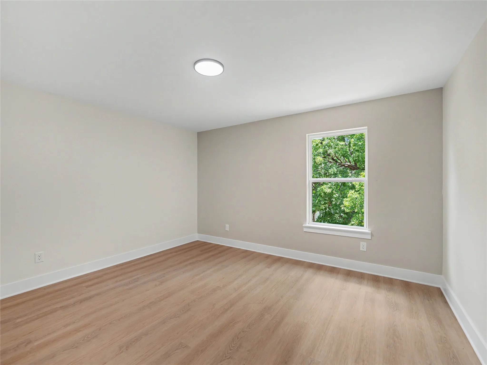 Room featuring neutral wall tones, wood-finish flooring, and white trim