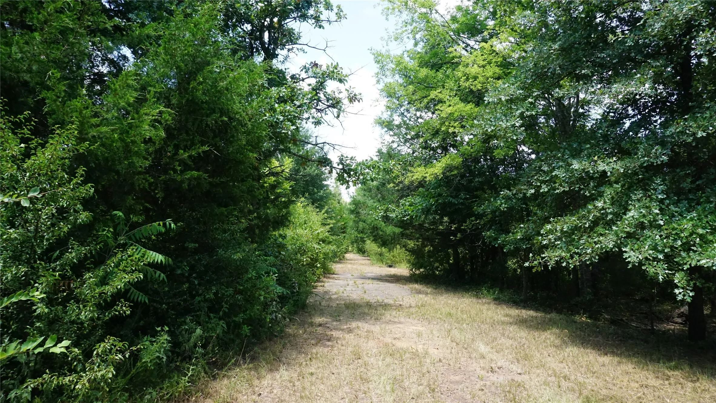 Unimproved Land For Sale in Wood County , TBD Private Road 7907, Hawkins, Texas 75765, 0, 0, Garage spaces, 0 Sqft, built in 0, Price $99,900, mls#21292643, Real Estate Agent in Hawkins, Homes For Sale in Wood county, Homes For Sale in Hawkins, Realtor in Hawkins Texas, Real Estate Brokerage Independent Realty Texas, Luminita Cordes Realtor