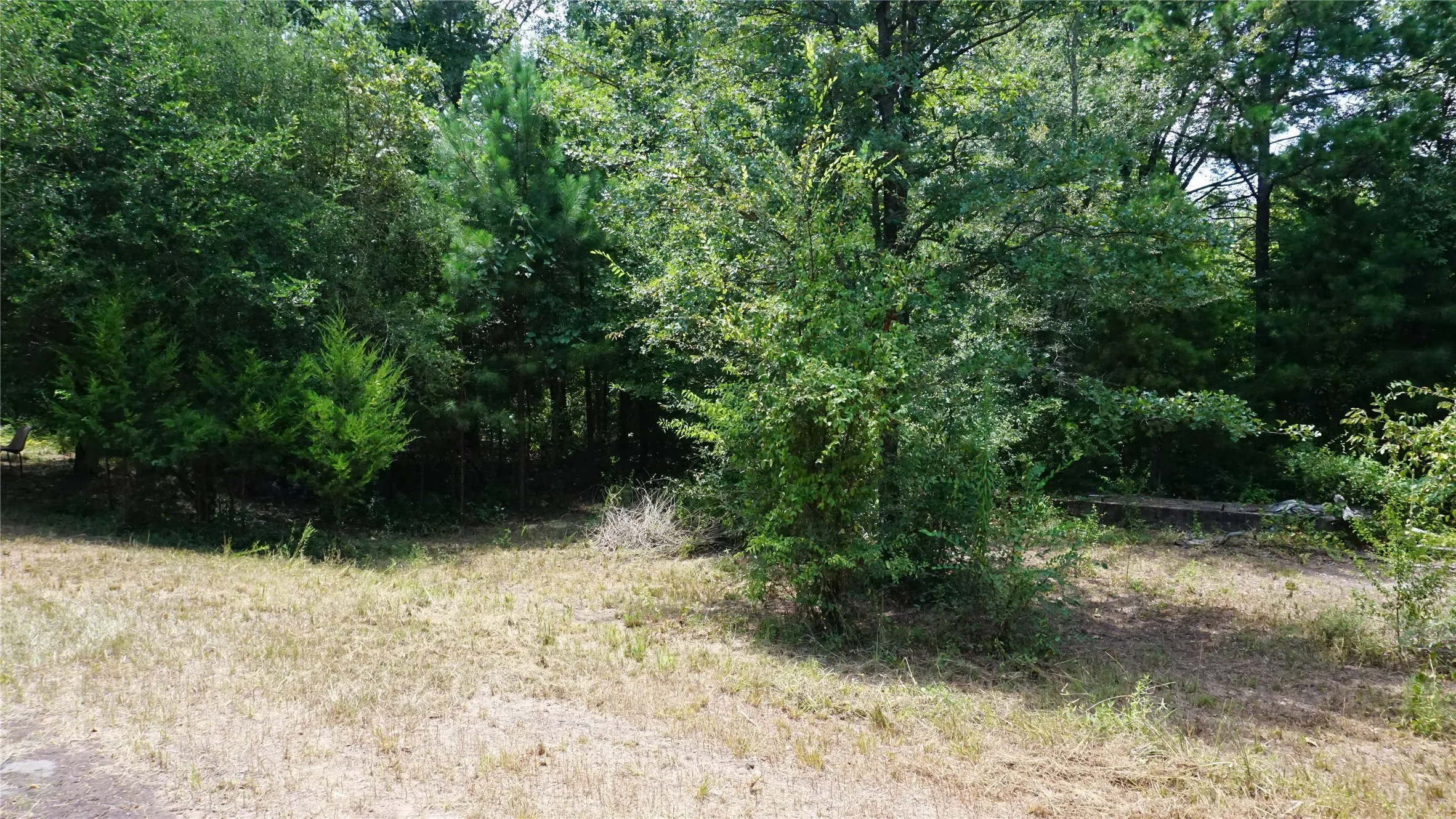 Unimproved Land For Sale in Wood County , TBD Private Road 7907, Hawkins, Texas 75765, 0, 0, Garage spaces, 0 Sqft, built in 0, Price $99,900, mls#21292643, Real Estate Agent in Hawkins, Homes For Sale in Wood county, Homes For Sale in Hawkins, Realtor in Hawkins Texas, Real Estate Brokerage Independent Realty Texas, Luminita Cordes Realtor