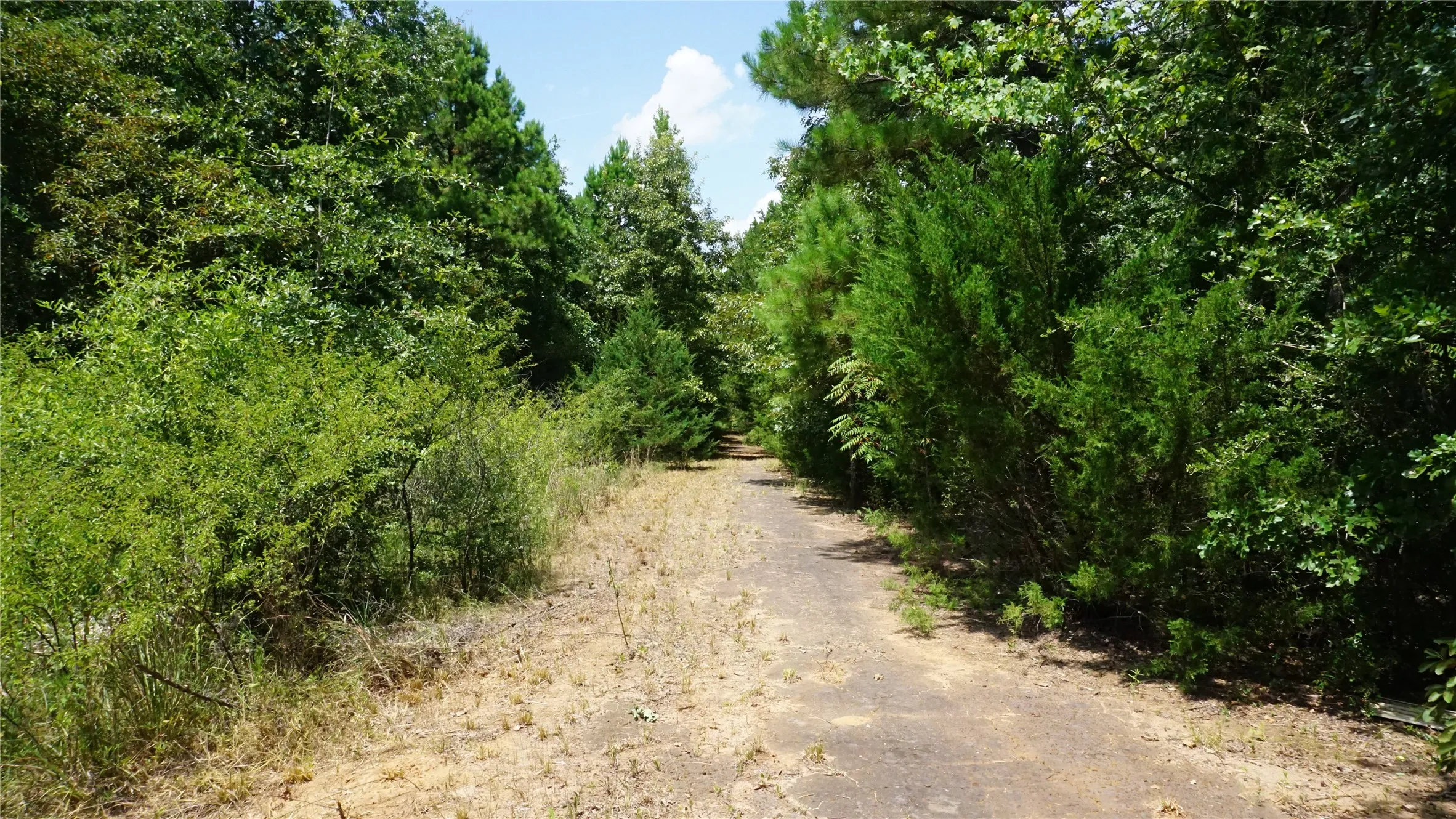 Unimproved Land For Sale in Wood County , TBD Private Road 7907, Hawkins, Texas 75765, 0, 0, Garage spaces, 0 Sqft, built in 0, Price $99,900, mls#21292643, Real Estate Agent in Hawkins, Homes For Sale in Wood county, Homes For Sale in Hawkins, Realtor in Hawkins Texas, Real Estate Brokerage Independent Realty Texas, Luminita Cordes Realtor