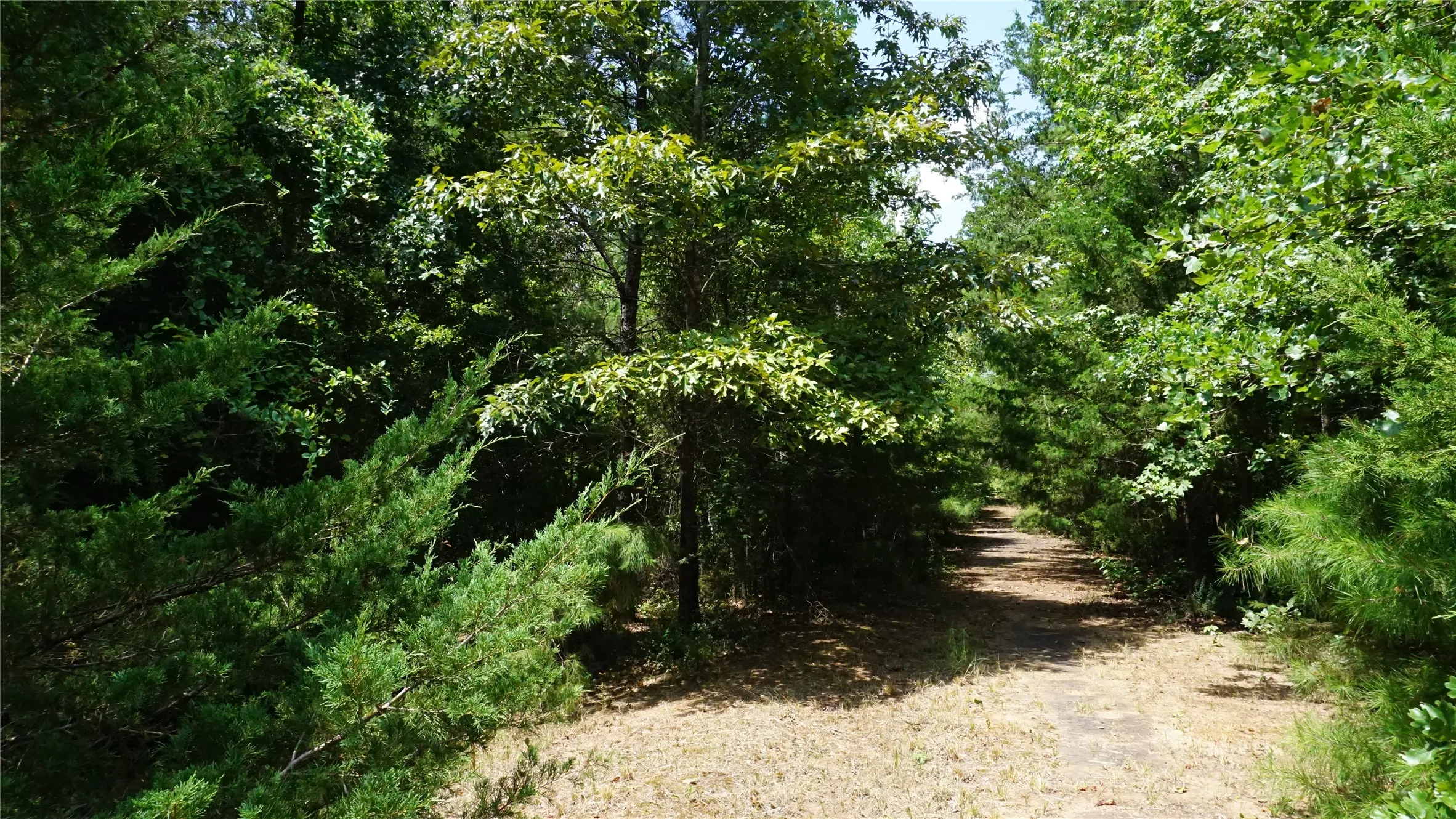 Unimproved Land For Sale in Wood County , TBD Private Road 7907, Hawkins, Texas 75765, 0, 0, Garage spaces, 0 Sqft, built in 0, Price $99,900, mls#21292643, Real Estate Agent in Hawkins, Homes For Sale in Wood county, Homes For Sale in Hawkins, Realtor in Hawkins Texas, Real Estate Brokerage Independent Realty Texas, Luminita Cordes Realtor