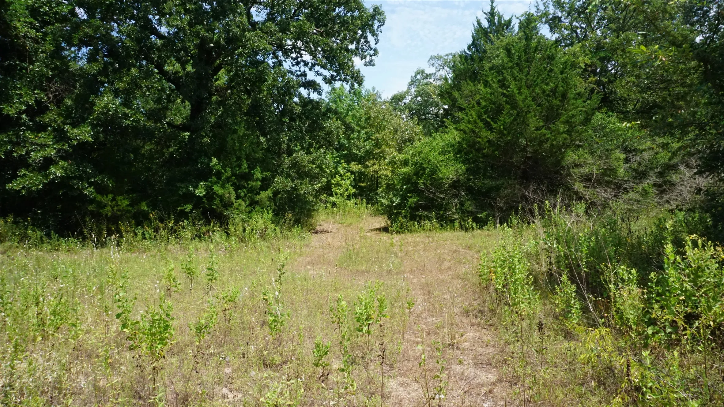 Unimproved Land For Sale in Wood County , TBD Private Road 7907, Hawkins, Texas 75765, 0, 0, Garage spaces, 0 Sqft, built in 0, Price $99,900, mls#21292643, Real Estate Agent in Hawkins, Homes For Sale in Wood county, Homes For Sale in Hawkins, Realtor in Hawkins Texas, Real Estate Brokerage Independent Realty Texas, Luminita Cordes Realtor