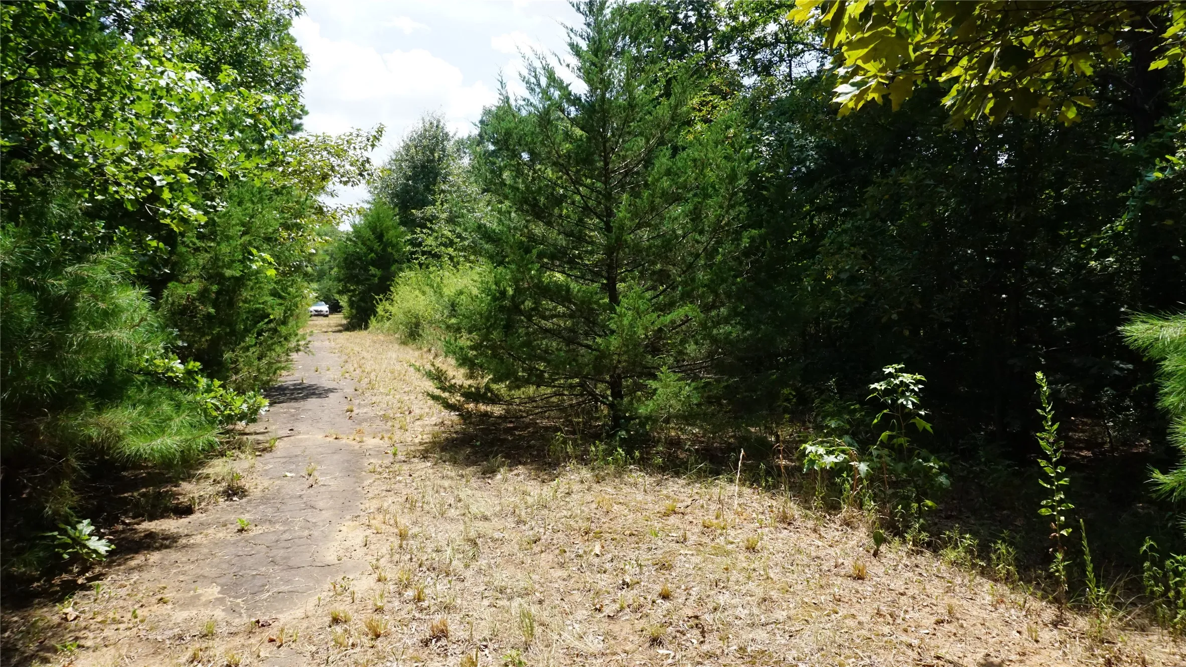 Unimproved Land For Sale in Wood County , TBD Private Road 7907, Hawkins, Texas 75765, 0, 0, Garage spaces, 0 Sqft, built in 0, Price $99,900, mls#21292643, Real Estate Agent in Hawkins, Homes For Sale in Wood county, Homes For Sale in Hawkins, Realtor in Hawkins Texas, Real Estate Brokerage Independent Realty Texas, Luminita Cordes Realtor