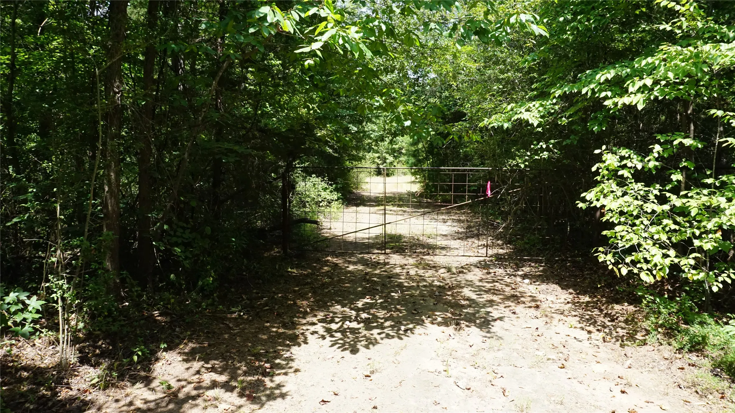Unimproved Land For Sale in Wood County , TBD Private Road 7907, Hawkins, Texas 75765, 0, 0, Garage spaces, 0 Sqft, built in 0, Price $99,900, mls#21292643, Real Estate Agent in Hawkins, Homes For Sale in Wood county, Homes For Sale in Hawkins, Realtor in Hawkins Texas, Real Estate Brokerage Independent Realty Texas, Luminita Cordes Realtor