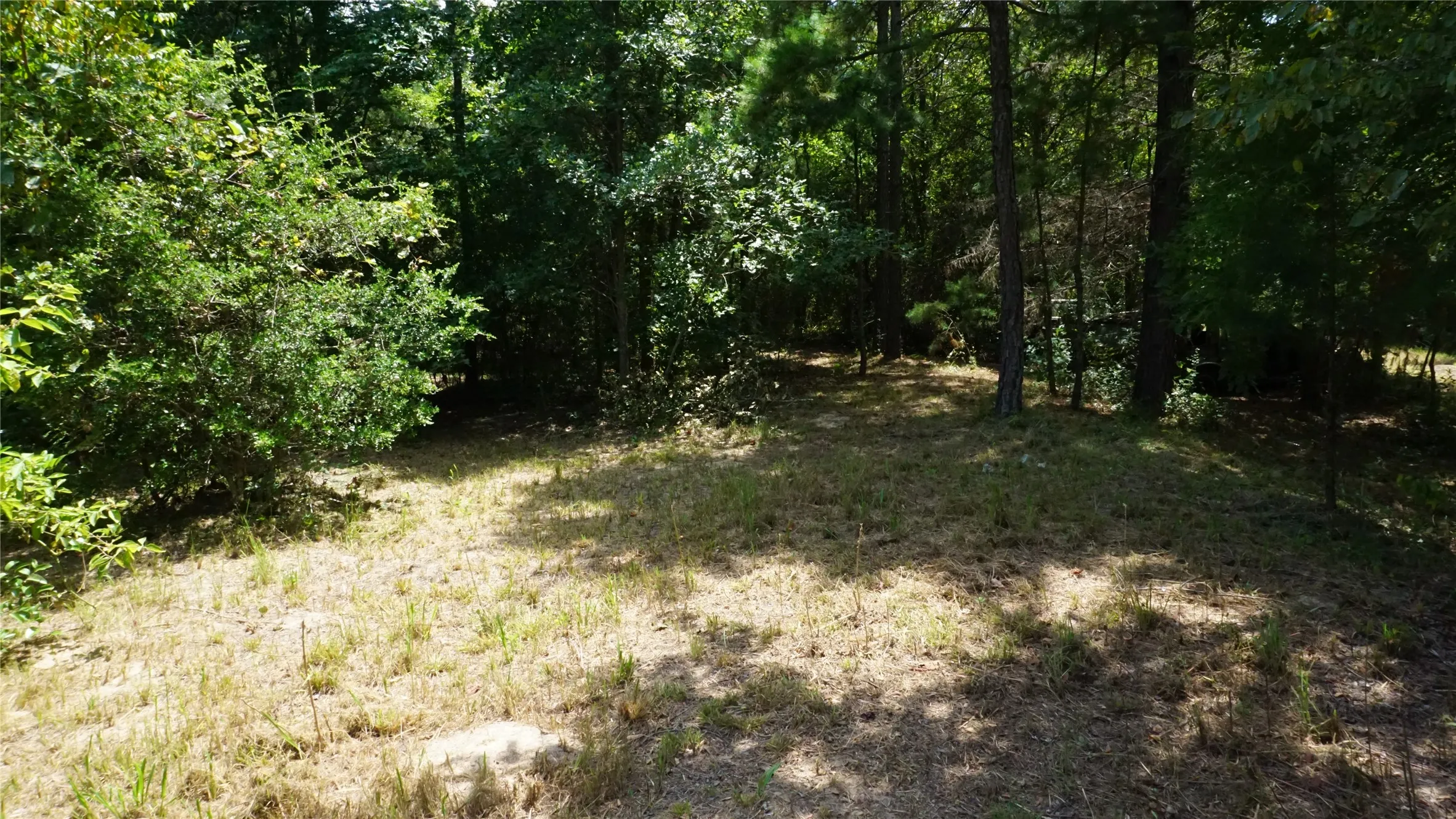 Unimproved Land For Sale in Wood County , TBD Private Road 7907, Hawkins, Texas 75765, 0, 0, Garage spaces, 0 Sqft, built in 0, Price $99,900, mls#21292643, Real Estate Agent in Hawkins, Homes For Sale in Wood county, Homes For Sale in Hawkins, Realtor in Hawkins Texas, Real Estate Brokerage Independent Realty Texas, Luminita Cordes Realtor