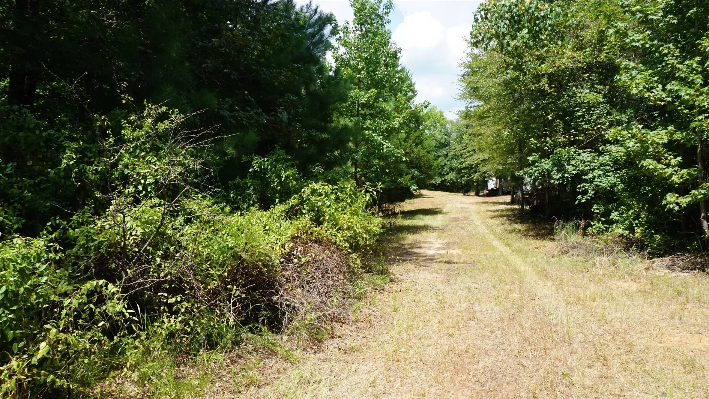 Unimproved Land For Sale in Wood County , TBD Private Road 7907, Hawkins, Texas 75765, 0, 0, Garage spaces, 0 Sqft, built in 0, Price $99,900, mls#21292643, Real Estate Agent in Hawkins, Homes For Sale in Wood county, Homes For Sale in Hawkins, Realtor in Hawkins Texas, Real Estate Brokerage Independent Realty Texas, Luminita Cordes Realtor
