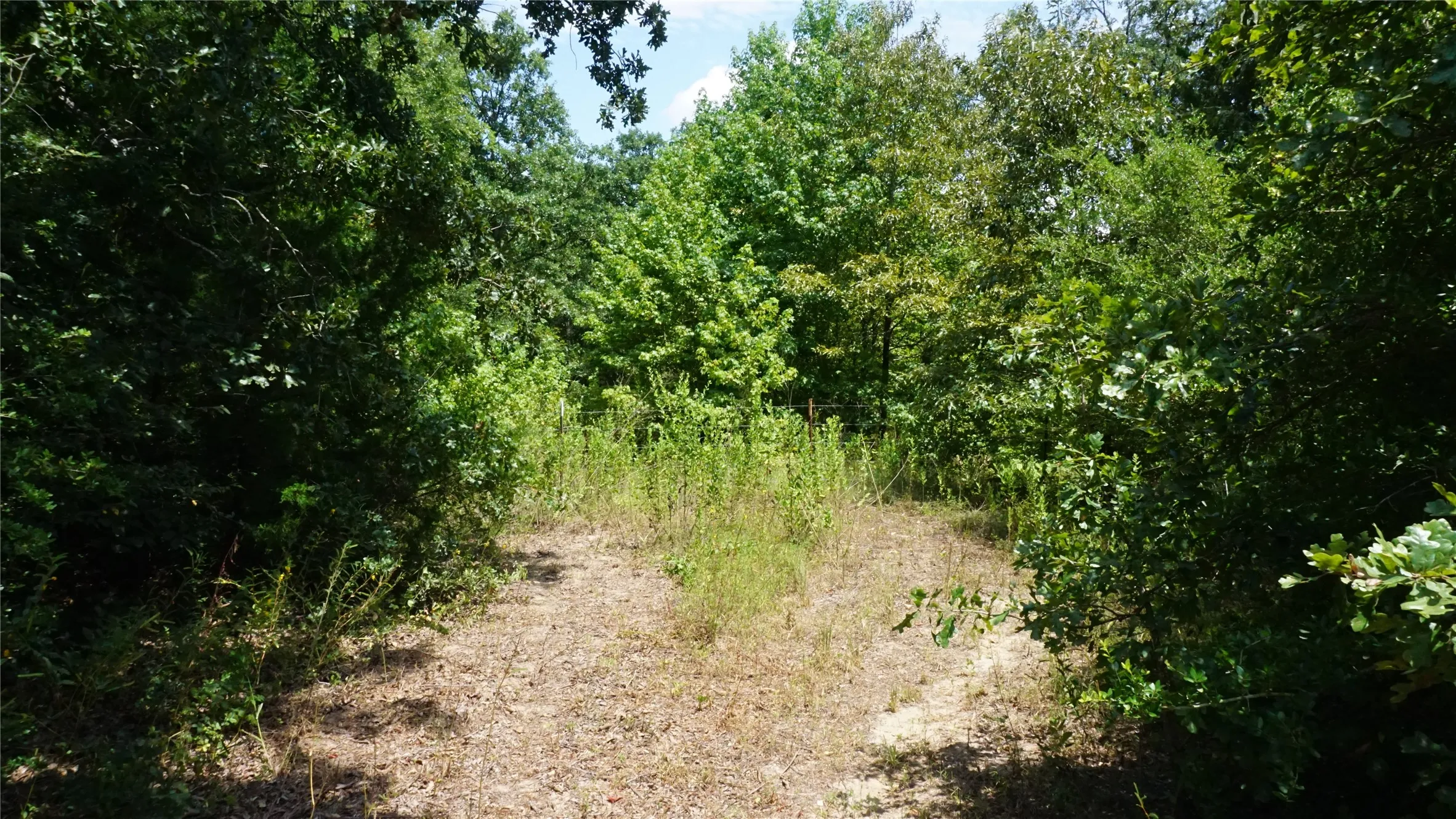 Unimproved Land For Sale in Wood County , TBD Private Road 7907, Hawkins, Texas 75765, 0, 0, Garage spaces, 0 Sqft, built in 0, Price $99,900, mls#21292643, Real Estate Agent in Hawkins, Homes For Sale in Wood county, Homes For Sale in Hawkins, Realtor in Hawkins Texas, Real Estate Brokerage Independent Realty Texas, Luminita Cordes Realtor