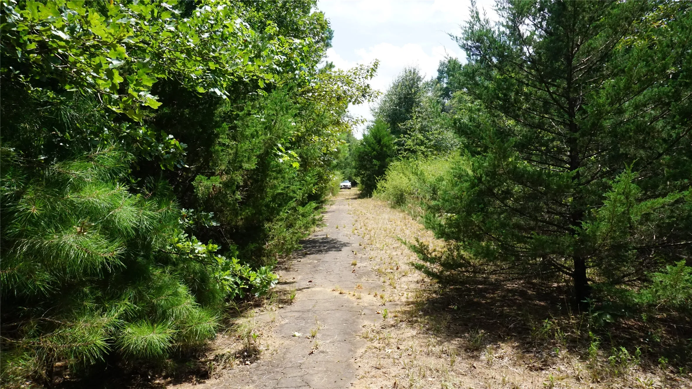 Unimproved Land For Sale in Wood County , TBD Private Road 7907, Hawkins, Texas 75765, 0, 0, Garage spaces, 0 Sqft, built in 0, Price $99,900, mls#21292643, Real Estate Agent in Hawkins, Homes For Sale in Wood county, Homes For Sale in Hawkins, Realtor in Hawkins Texas, Real Estate Brokerage Independent Realty Texas, Luminita Cordes Realtor
