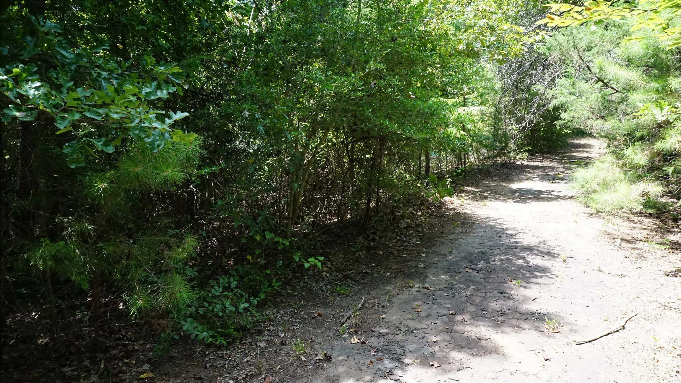 Unimproved Land For Sale in Wood County , TBD Private Road 7907, Hawkins, Texas 75765, 0, 0, Garage spaces, 0 Sqft, built in 0, Price $99,900, mls#21292643, Real Estate Agent in Hawkins, Homes For Sale in Wood county, Homes For Sale in Hawkins, Realtor in Hawkins Texas, Real Estate Brokerage Independent Realty Texas, Luminita Cordes Realtor