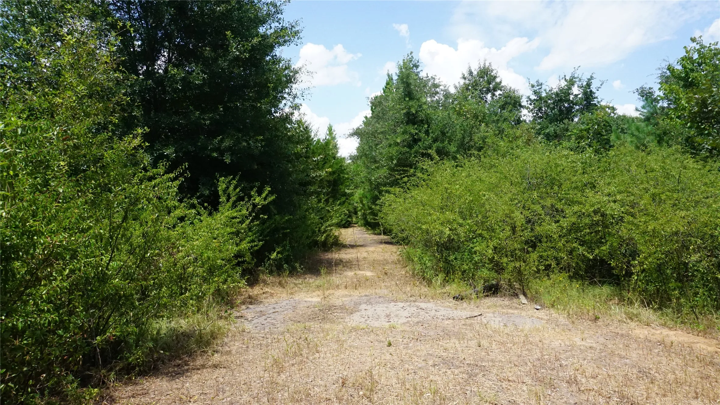 Unimproved Land For Sale in Wood County , TBD Private Road 7907, Hawkins, Texas 75765, 0, 0, Garage spaces, 0 Sqft, built in 0, Price $99,900, mls#21292643, Real Estate Agent in Hawkins, Homes For Sale in Wood county, Homes For Sale in Hawkins, Realtor in Hawkins Texas, Real Estate Brokerage Independent Realty Texas, Luminita Cordes Realtor
