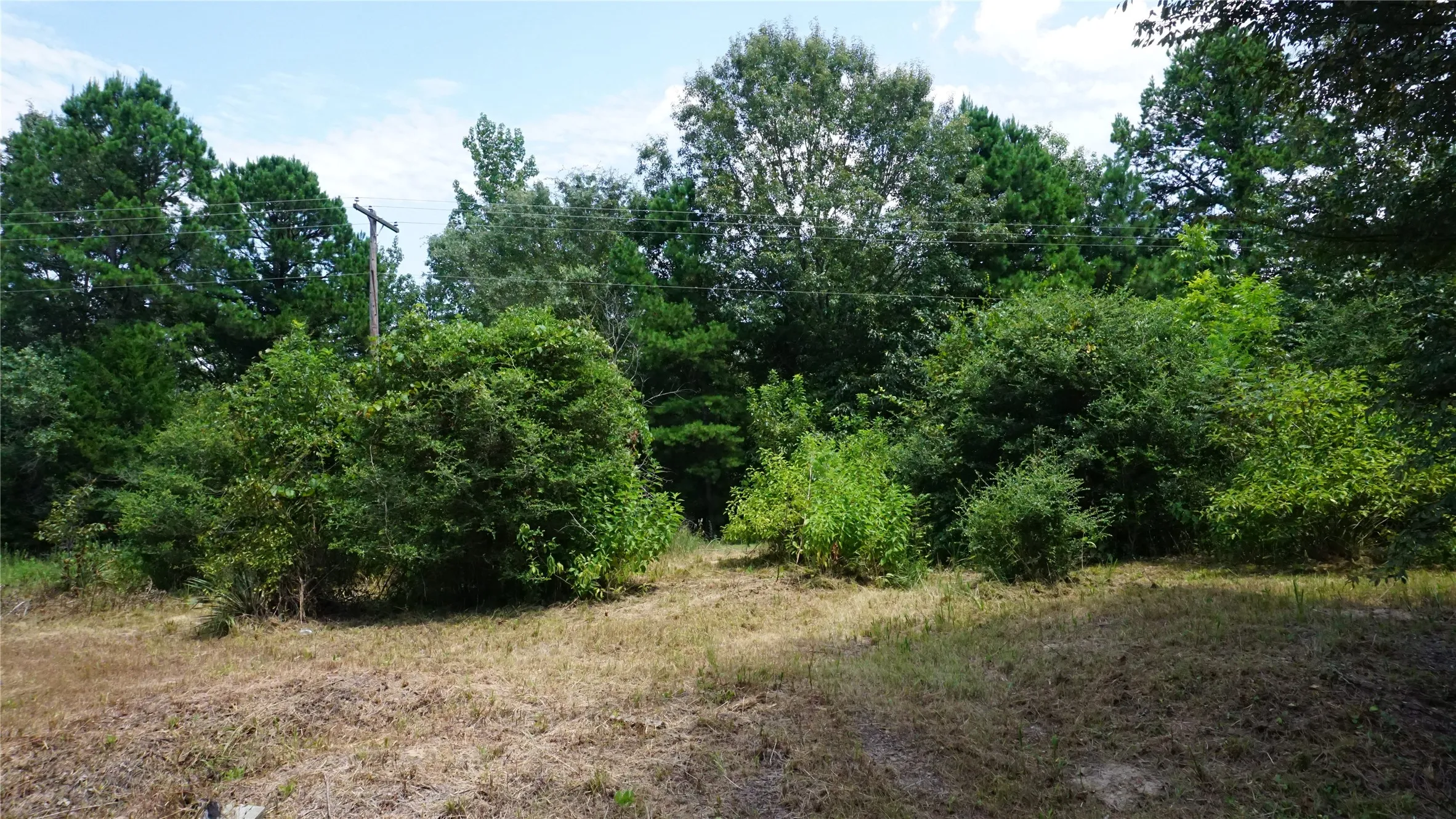Unimproved Land For Sale in Wood County , TBD Private Road 7907, Hawkins, Texas 75765, 0, 0, Garage spaces, 0 Sqft, built in 0, Price $99,900, mls#21292643, Real Estate Agent in Hawkins, Homes For Sale in Wood county, Homes For Sale in Hawkins, Realtor in Hawkins Texas, Real Estate Brokerage Independent Realty Texas, Luminita Cordes Realtor
