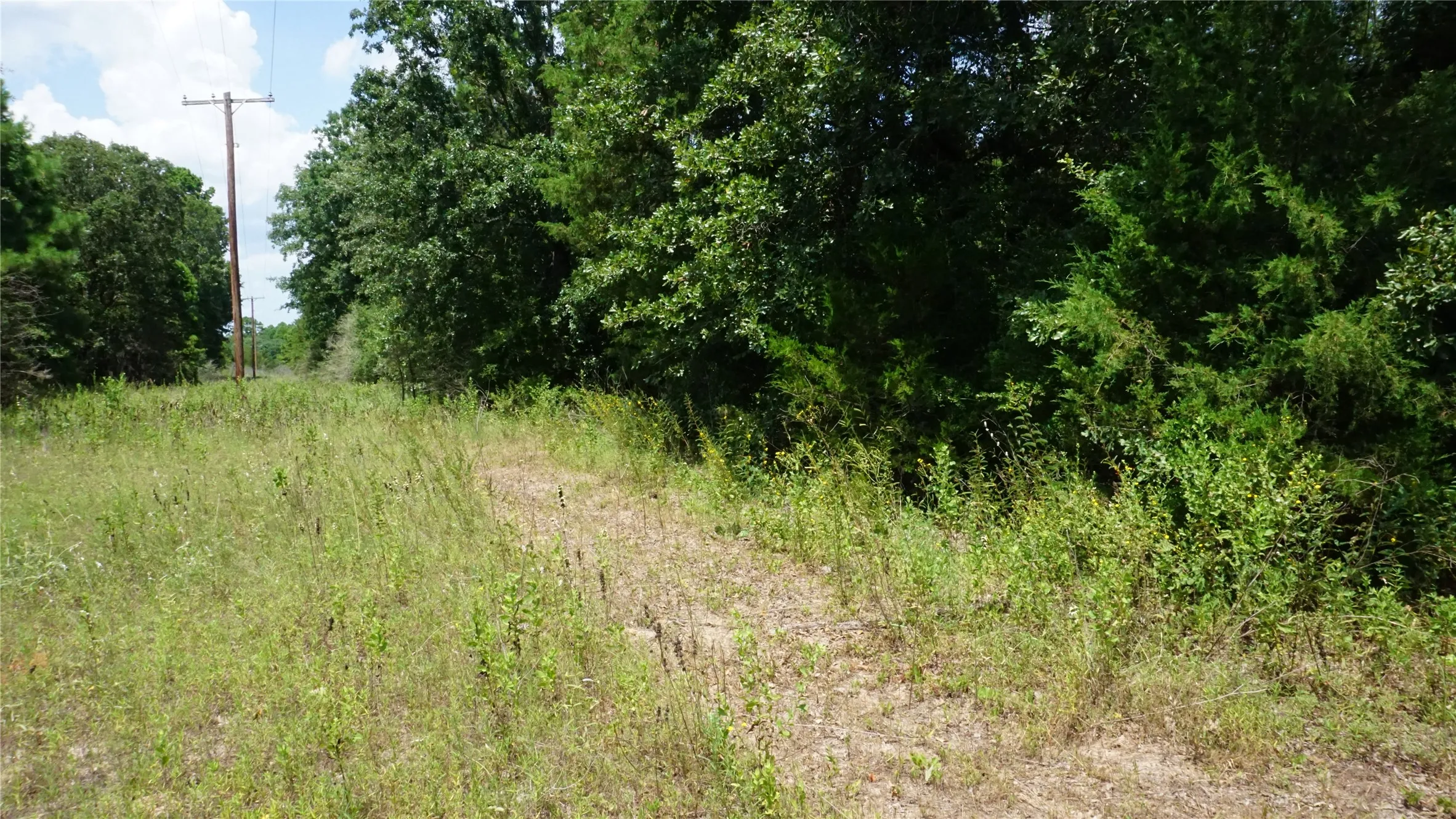 Unimproved Land For Sale in Wood County , TBD Private Road 7907, Hawkins, Texas 75765, 0, 0, Garage spaces, 0 Sqft, built in 0, Price $99,900, mls#21292643, Real Estate Agent in Hawkins, Homes For Sale in Wood county, Homes For Sale in Hawkins, Realtor in Hawkins Texas, Real Estate Brokerage Independent Realty Texas, Luminita Cordes Realtor