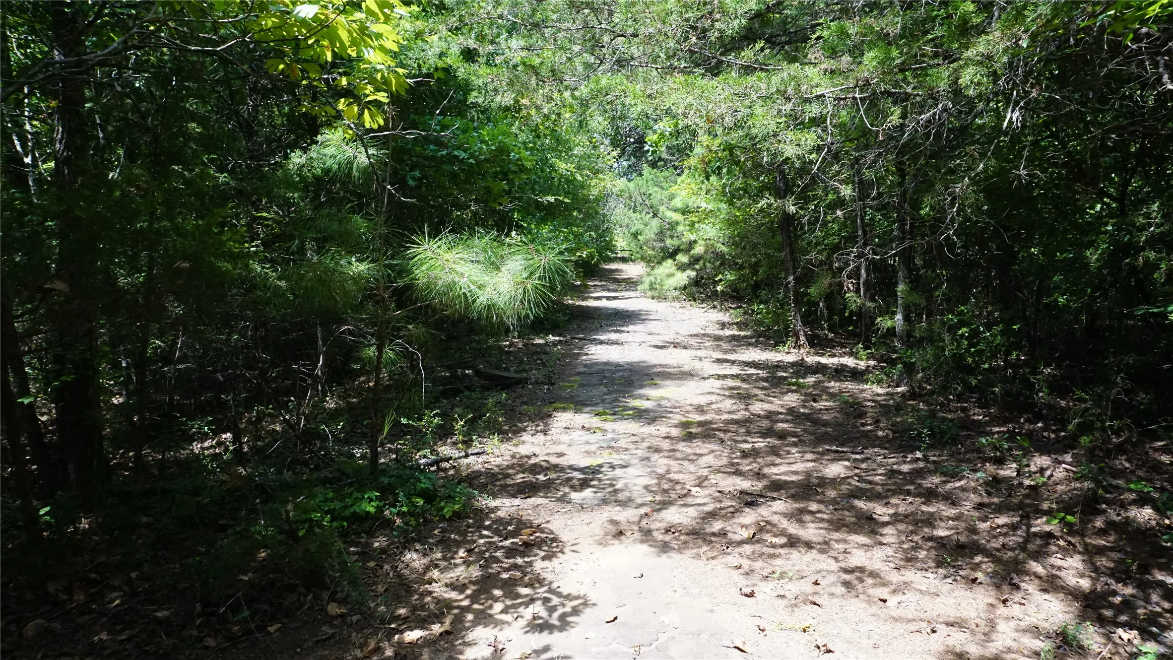 Unimproved Land For Sale in Wood County , TBD Private Road 7907, Hawkins, Texas 75765, 0, 0, Garage spaces, 0 Sqft, built in 0, Price $99,900, mls#21292643, Real Estate Agent in Hawkins, Homes For Sale in Wood county, Homes For Sale in Hawkins, Realtor in Hawkins Texas, Real Estate Brokerage Independent Realty Texas, Luminita Cordes Realtor