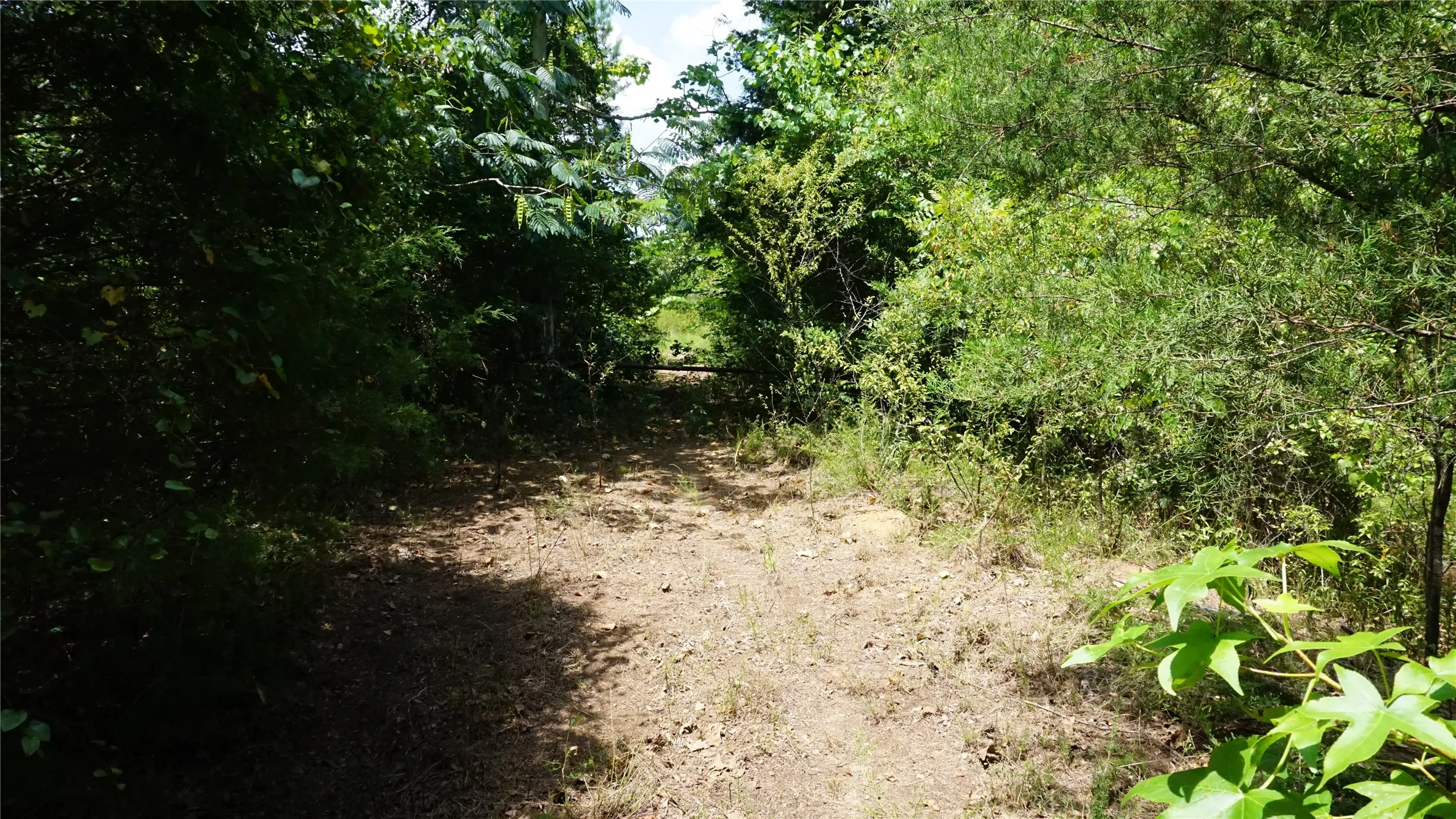 Unimproved Land For Sale in Wood County , TBD Private Road 7907, Hawkins, Texas 75765, 0, 0, Garage spaces, 0 Sqft, built in 0, Price $99,900, mls#21292643, Real Estate Agent in Hawkins, Homes For Sale in Wood county, Homes For Sale in Hawkins, Realtor in Hawkins Texas, Real Estate Brokerage Independent Realty Texas, Luminita Cordes Realtor