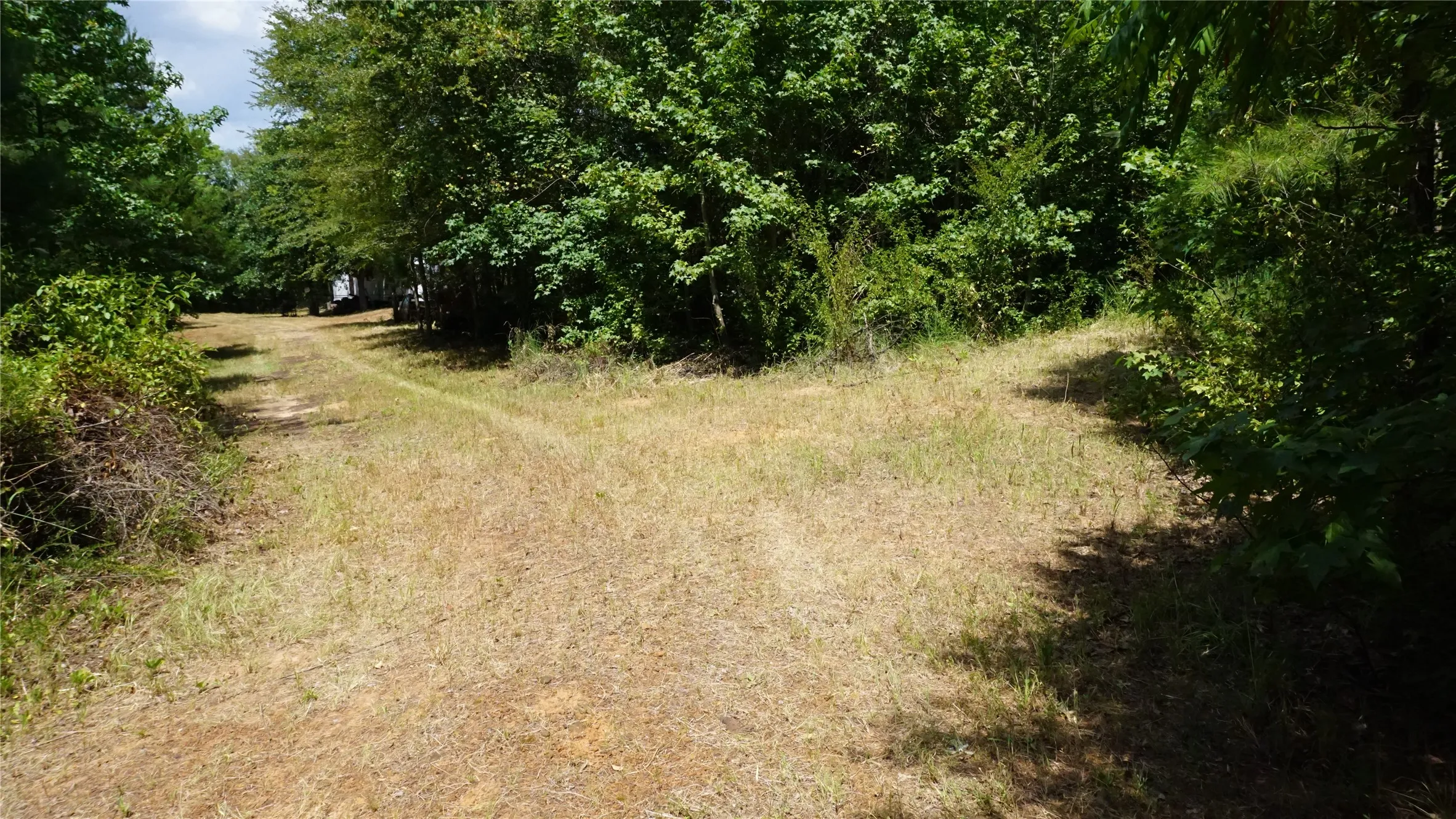 Unimproved Land For Sale in Wood County , TBD Private Road 7907, Hawkins, Texas 75765, 0, 0, Garage spaces, 0 Sqft, built in 0, Price $99,900, mls#21292643, Real Estate Agent in Hawkins, Homes For Sale in Wood county, Homes For Sale in Hawkins, Realtor in Hawkins Texas, Real Estate Brokerage Independent Realty Texas, Luminita Cordes Realtor