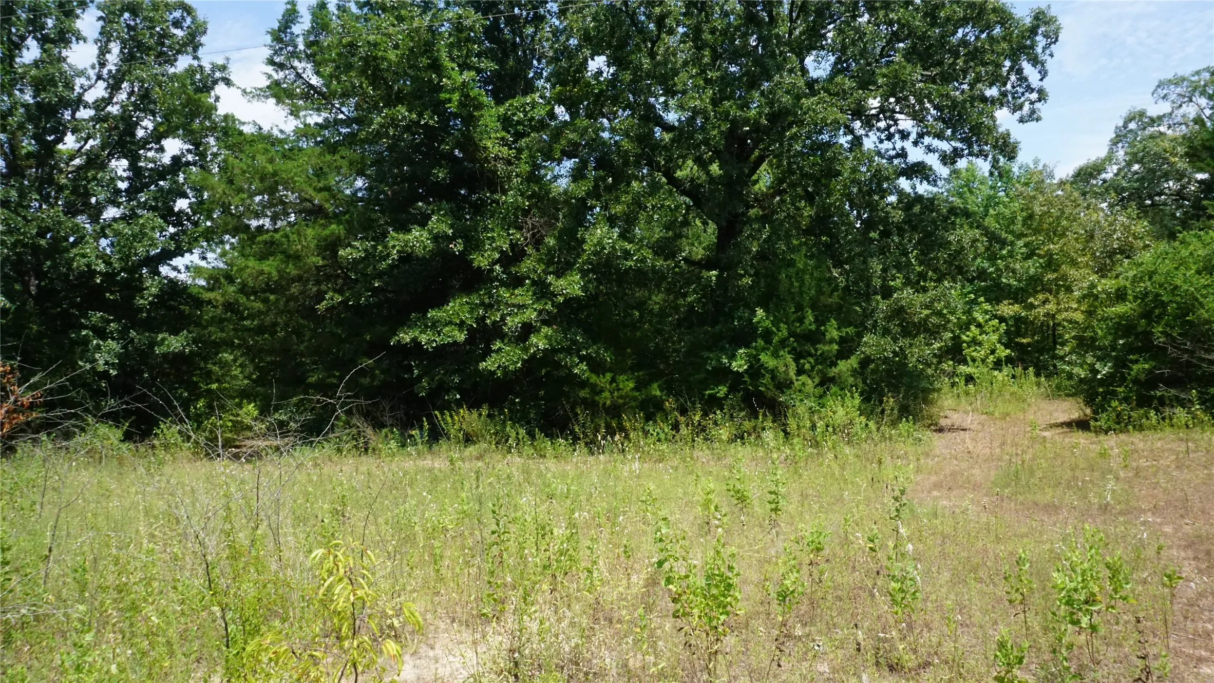 Unimproved Land For Sale in Wood County , TBD Private Road 7907, Hawkins, Texas 75765, 0, 0, Garage spaces, 0 Sqft, built in 0, Price $99,900, mls#21292643, Real Estate Agent in Hawkins, Homes For Sale in Wood county, Homes For Sale in Hawkins, Realtor in Hawkins Texas, Real Estate Brokerage Independent Realty Texas, Luminita Cordes Realtor