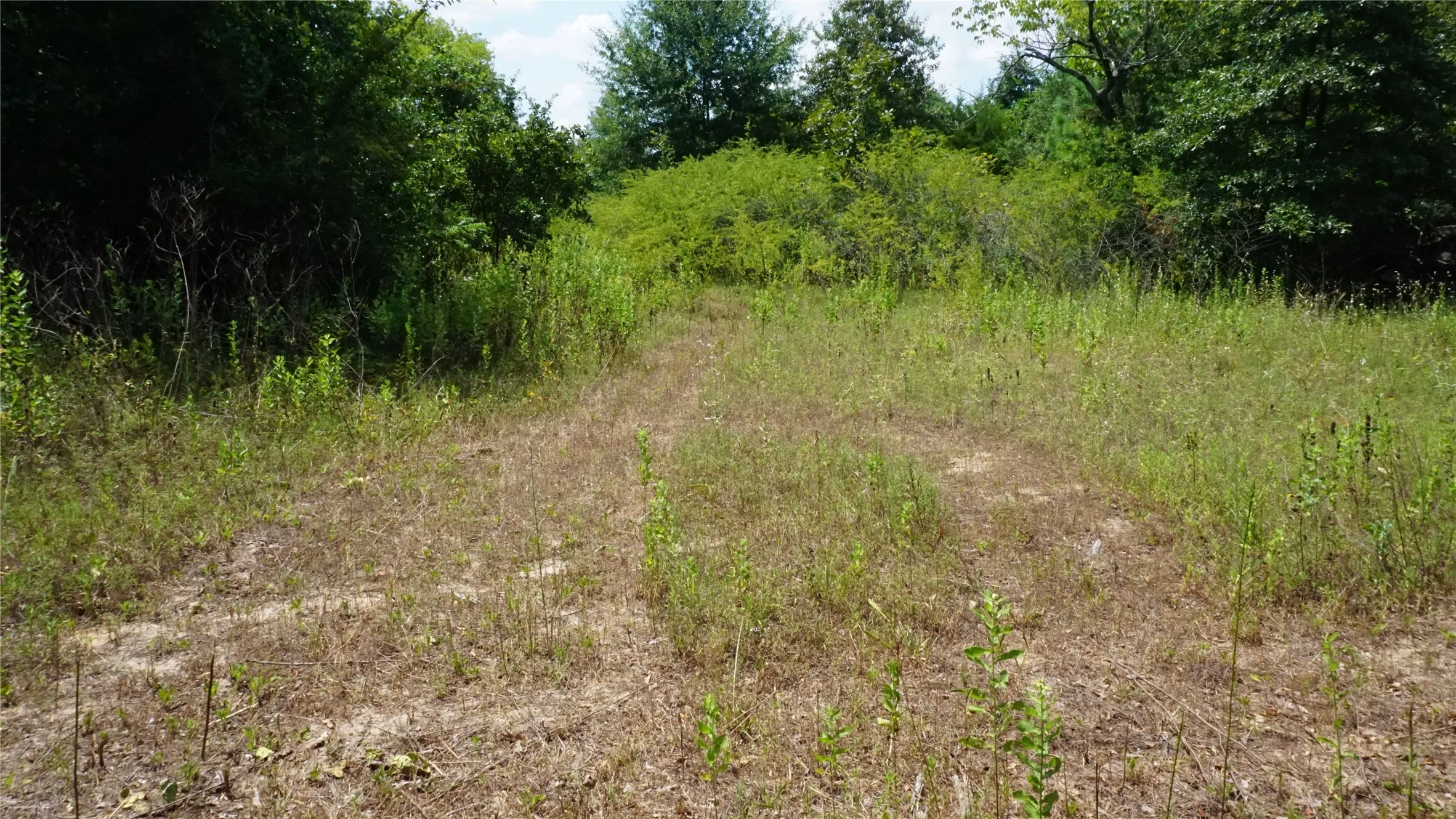 Unimproved Land For Sale in Wood County , TBD Private Road 7907, Hawkins, Texas 75765, 0, 0, Garage spaces, 0 Sqft, built in 0, Price $99,900, mls#21292643, Real Estate Agent in Hawkins, Homes For Sale in Wood county, Homes For Sale in Hawkins, Realtor in Hawkins Texas, Real Estate Brokerage Independent Realty Texas, Luminita Cordes Realtor