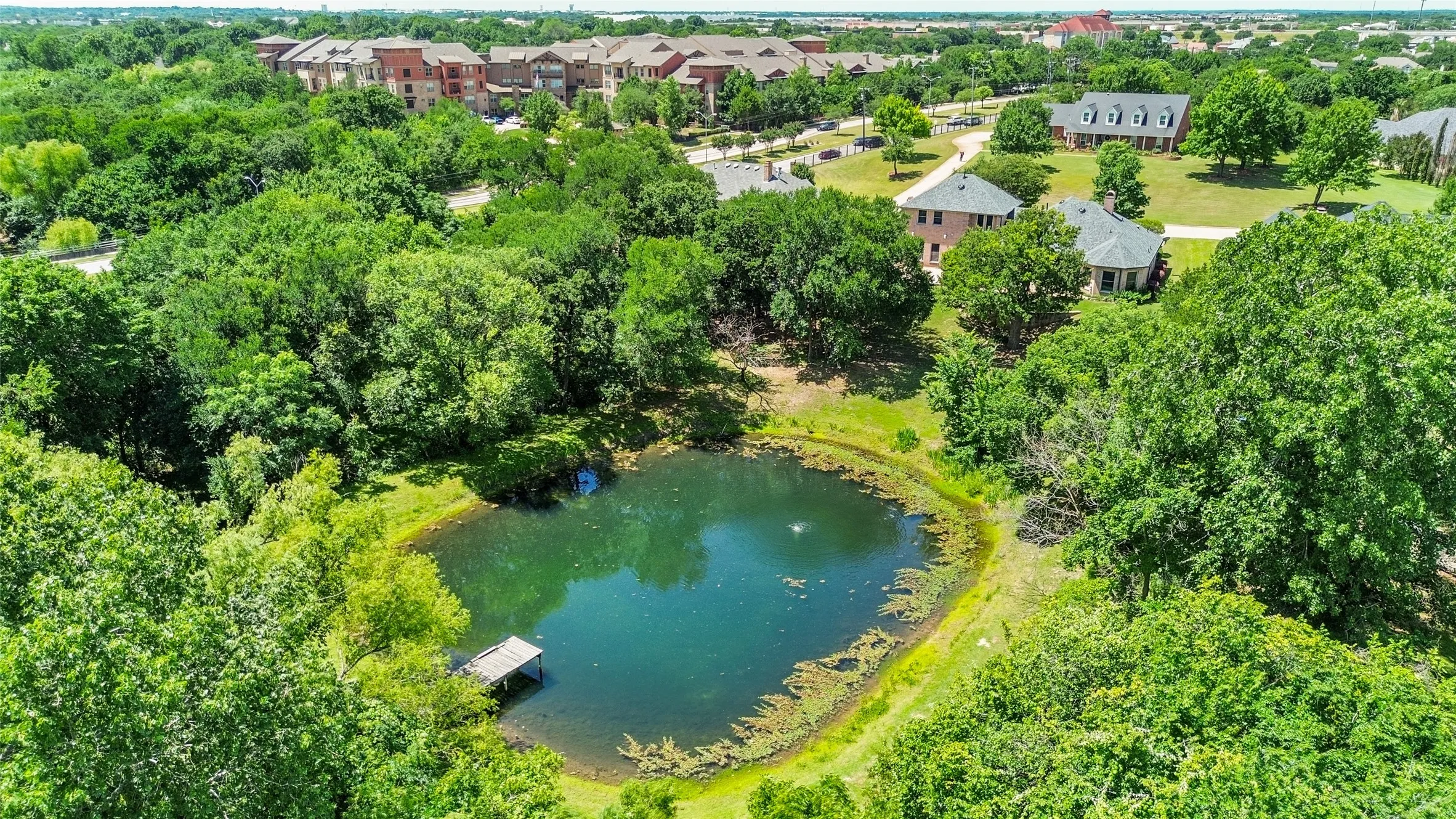 Pond