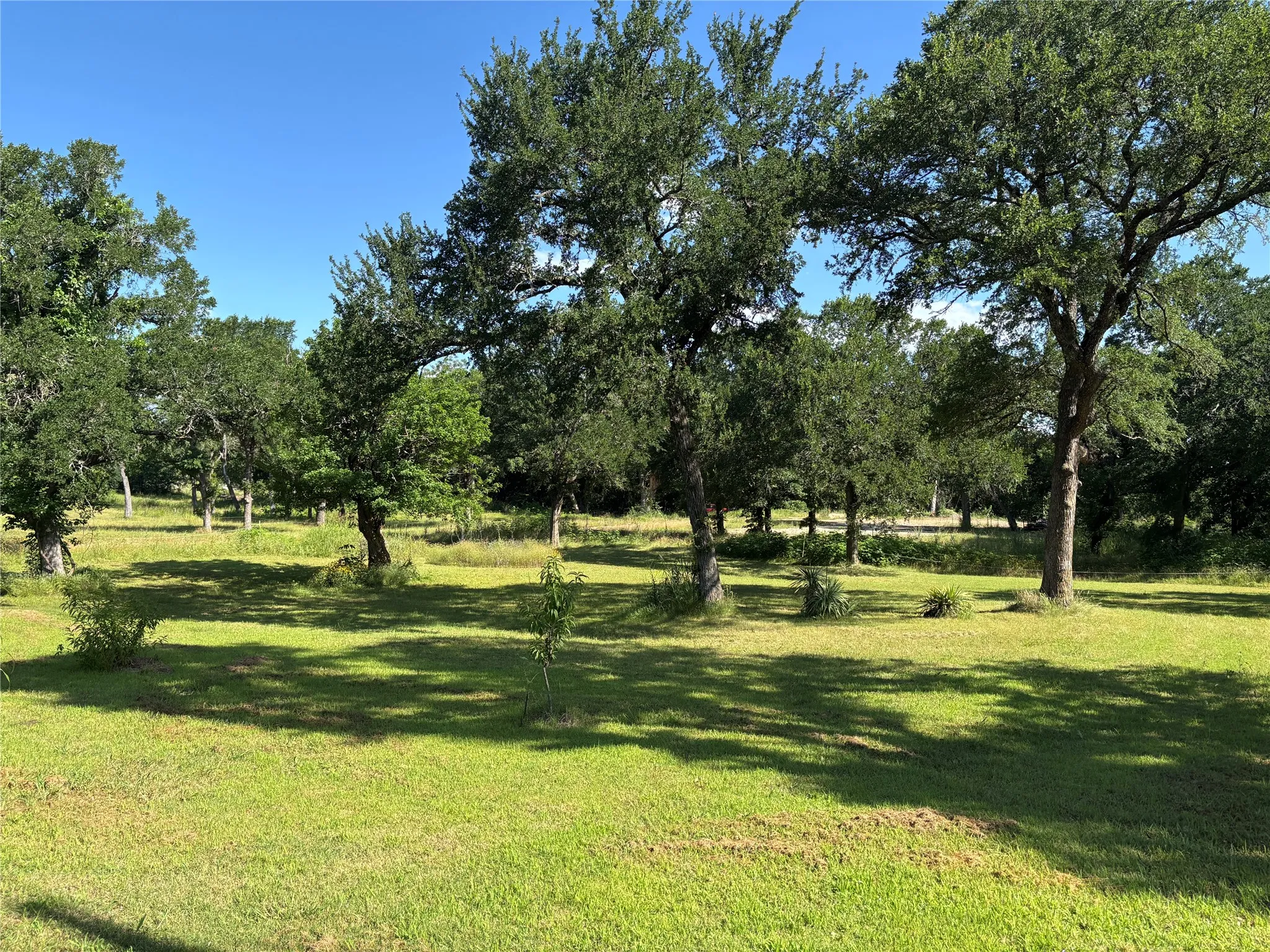 Unimproved Land For Sale in Grayson County , 0000 TBD E Morgan Street, Denison, Texas 75021, 0, 0, Garage spaces, 0 Sqft, built in 0, Price $15,000, mls#21292708, Real Estate Agent in Denison, Homes For Sale in Grayson county, Homes For Sale in Denison, Realtor in Denison Texas, Real Estate Brokerage Independent Realty Texas, Luminita Cordes Realtor
