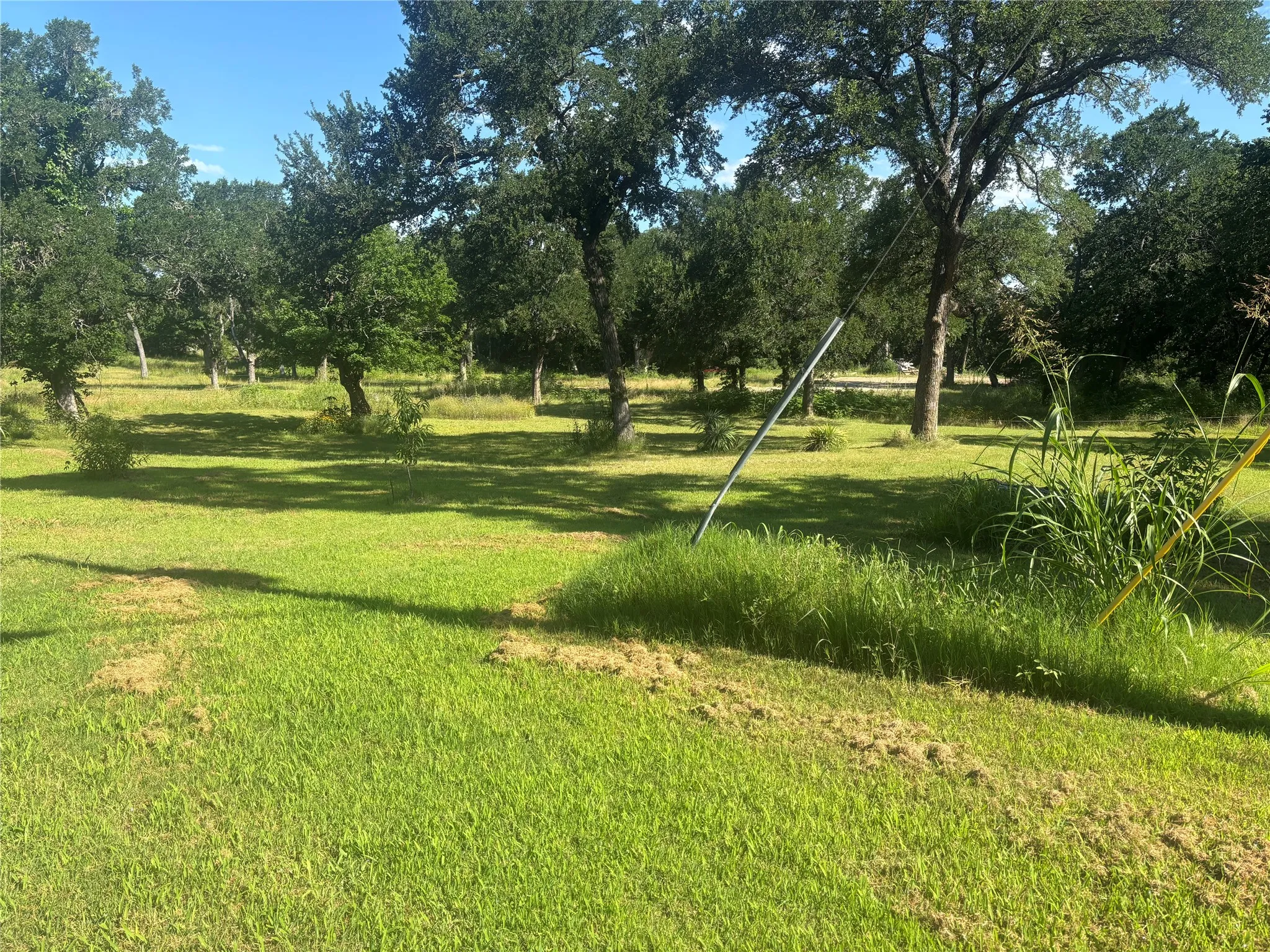 Unimproved Land For Sale in Grayson County , 0000 TBD E Morgan Street, Denison, Texas 75021, 0, 0, Garage spaces, 0 Sqft, built in 0, Price $15,000, mls#21292708, Real Estate Agent in Denison, Homes For Sale in Grayson county, Homes For Sale in Denison, Realtor in Denison Texas, Real Estate Brokerage Independent Realty Texas, Luminita Cordes Realtor