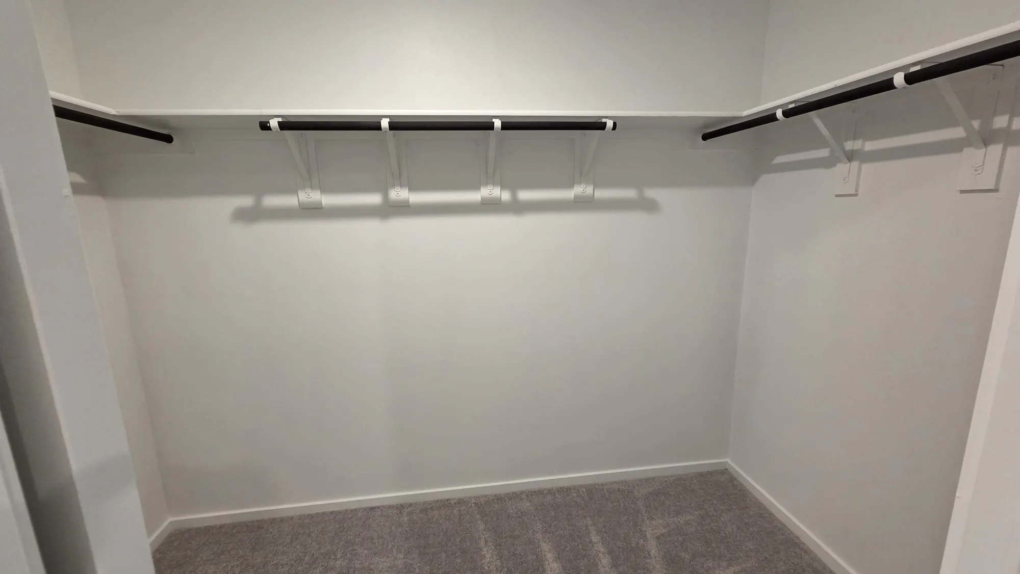 Walk-in closet featuring white walls, grey carpet, and black and white shelving with hanging rods
