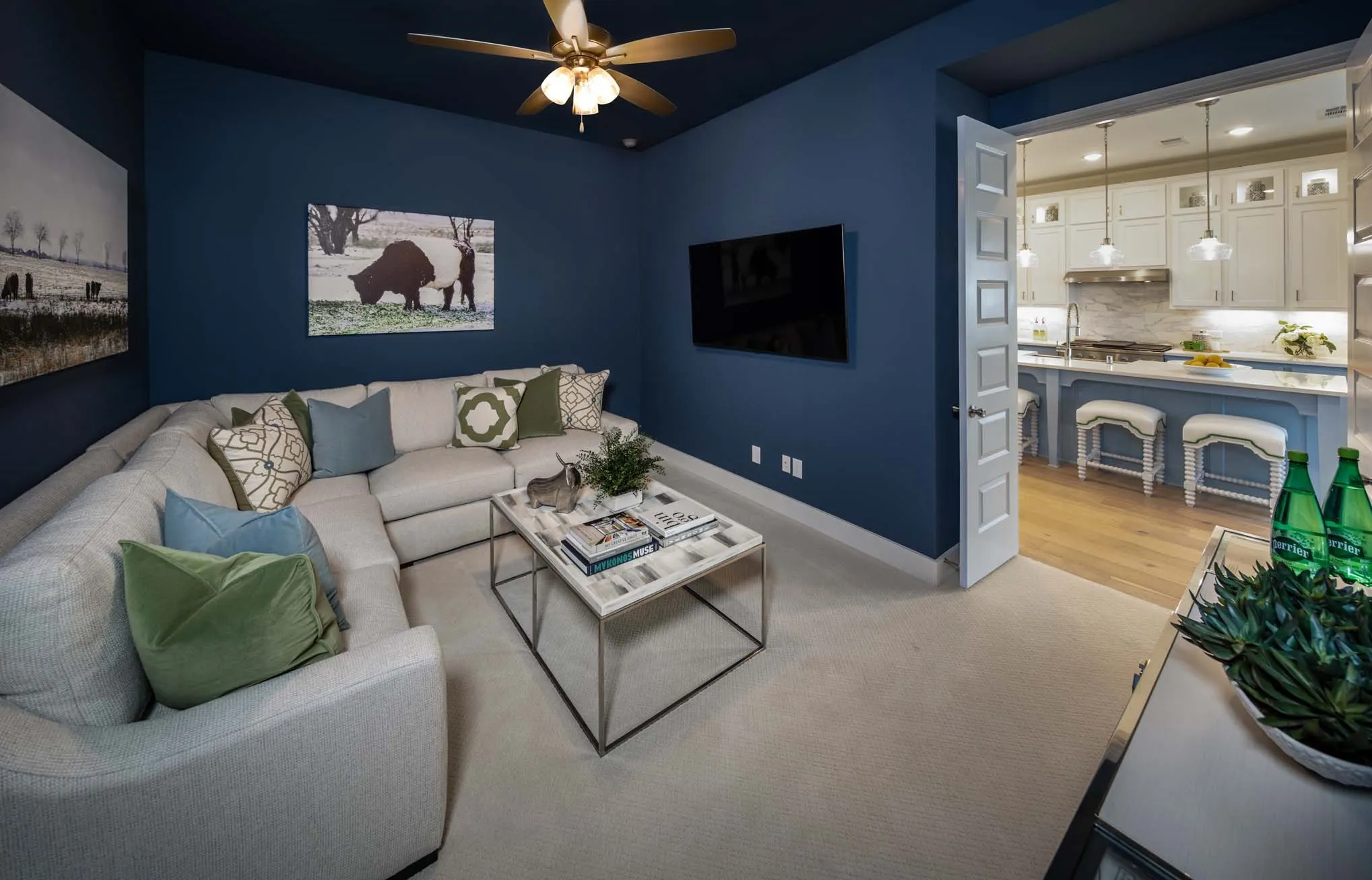 Entertainment Room