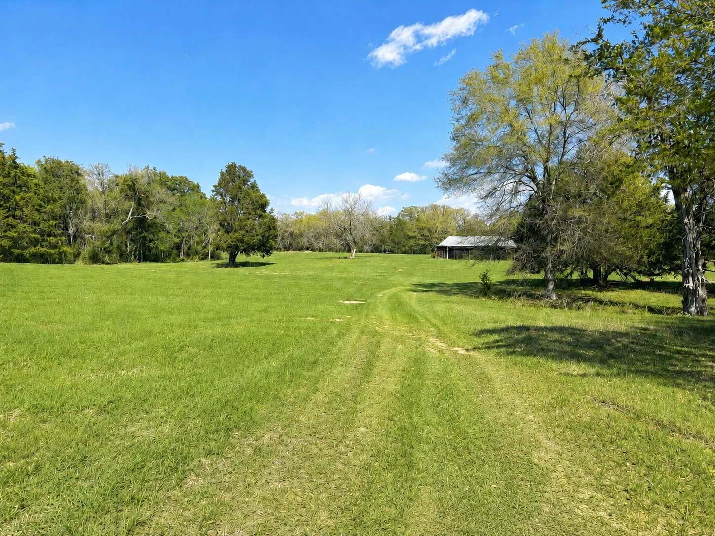Open pasture and barn views highlight the peaceful ranch setting of this 42-acre Kerens TX farm and country property.