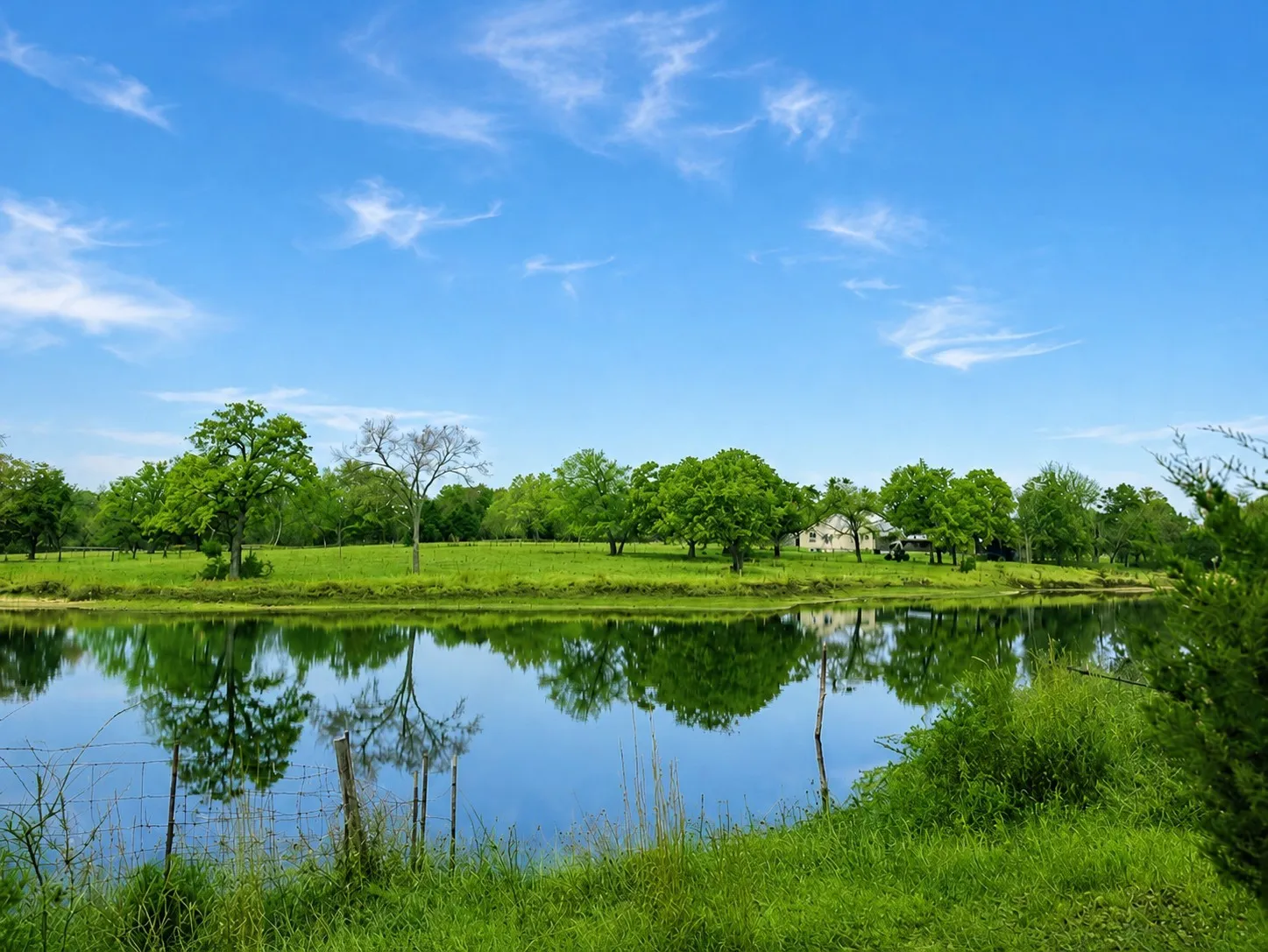 Lush pond views with tree reflections showcase the peaceful beauty and country lifestyle of this 42-acre Kerens TX farm and ranch property.