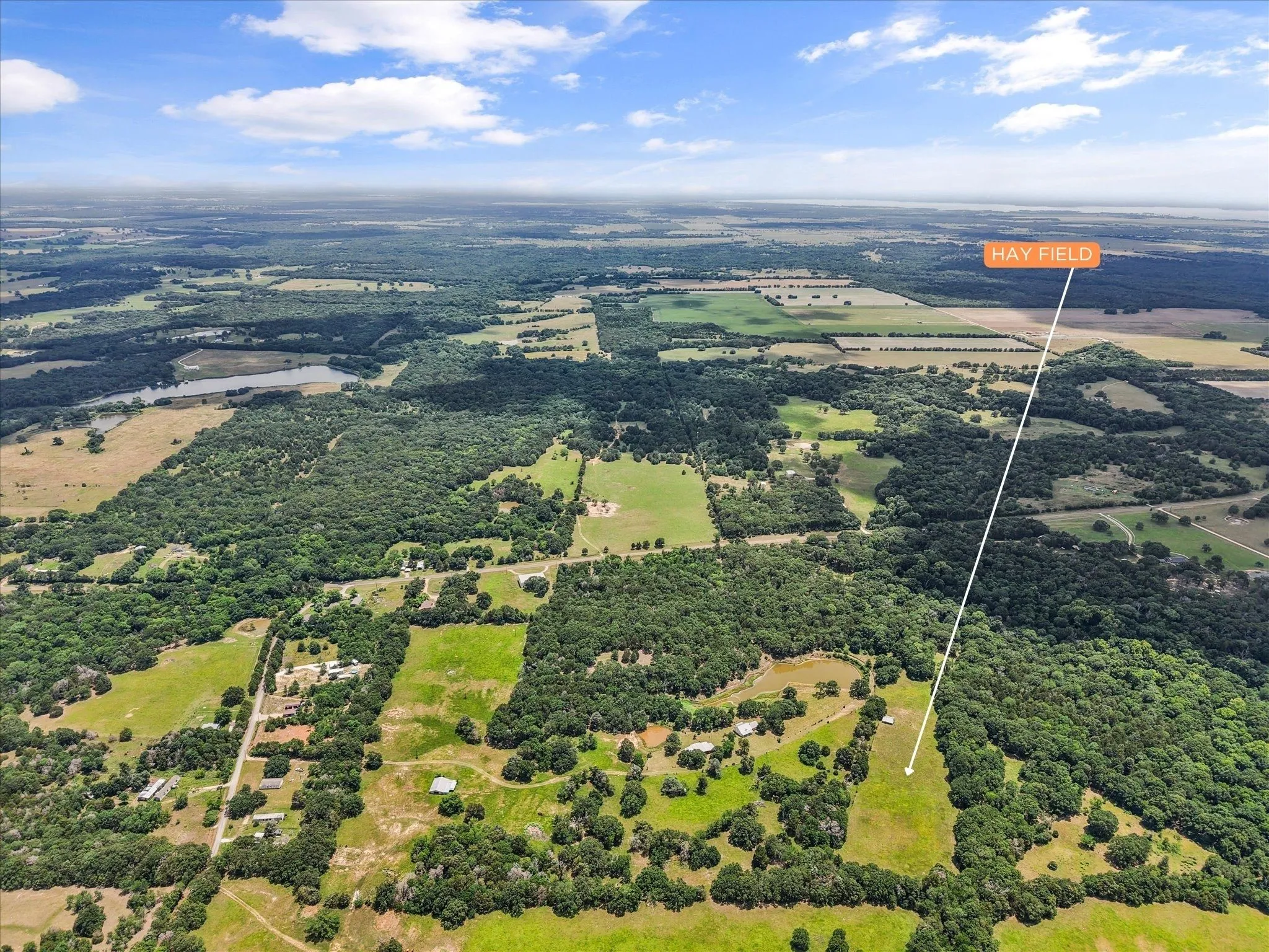 Productive coastal hayfield offers annual income potential on this 42-acre Kerens farm and ranch property near Corsicana and Dallas.