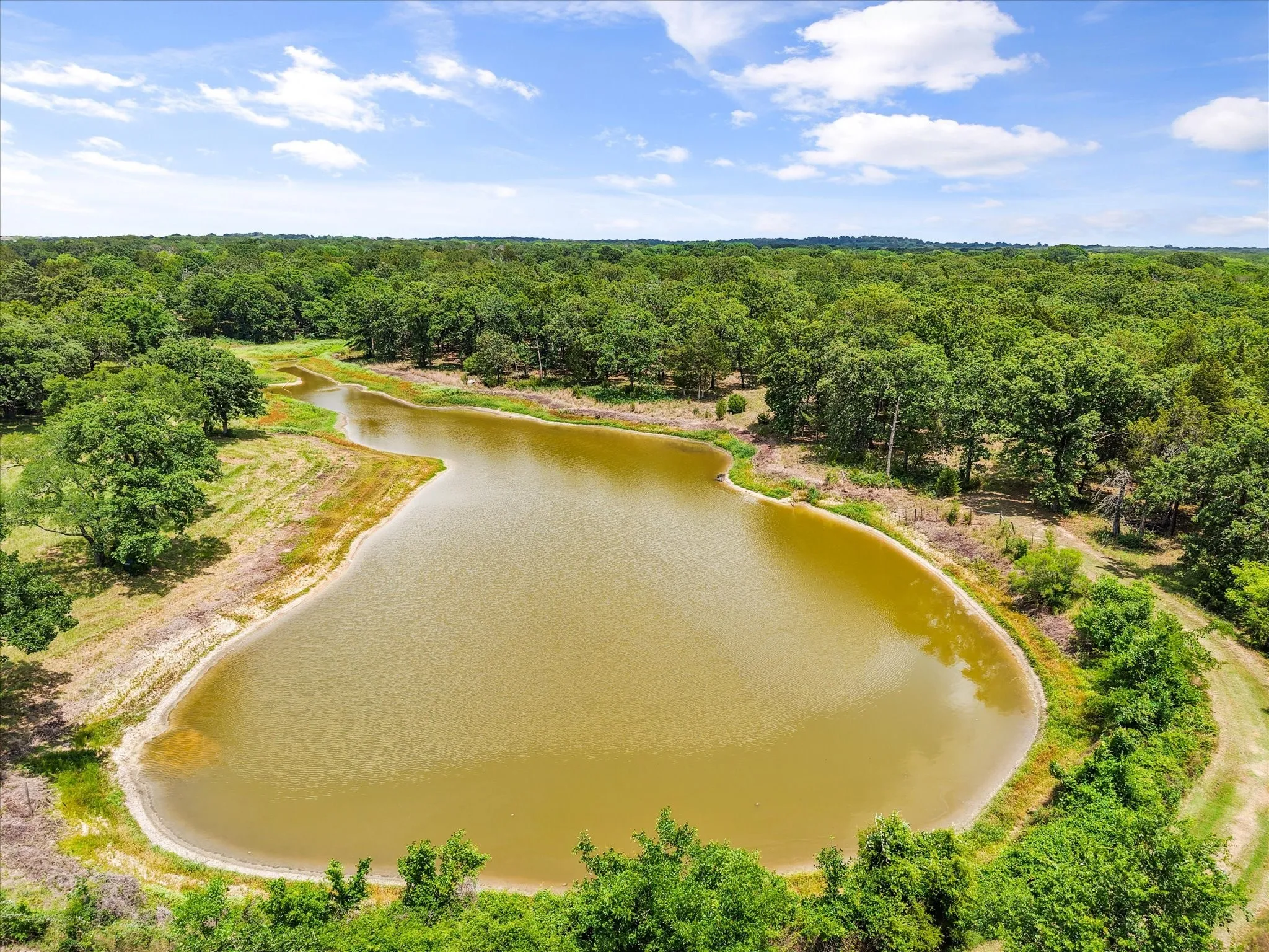 Scenic 2-3 acre pond adds recreation, wildlife appeal, and peaceful country charm to this 42-acre Kerens TX farm and ranch property.