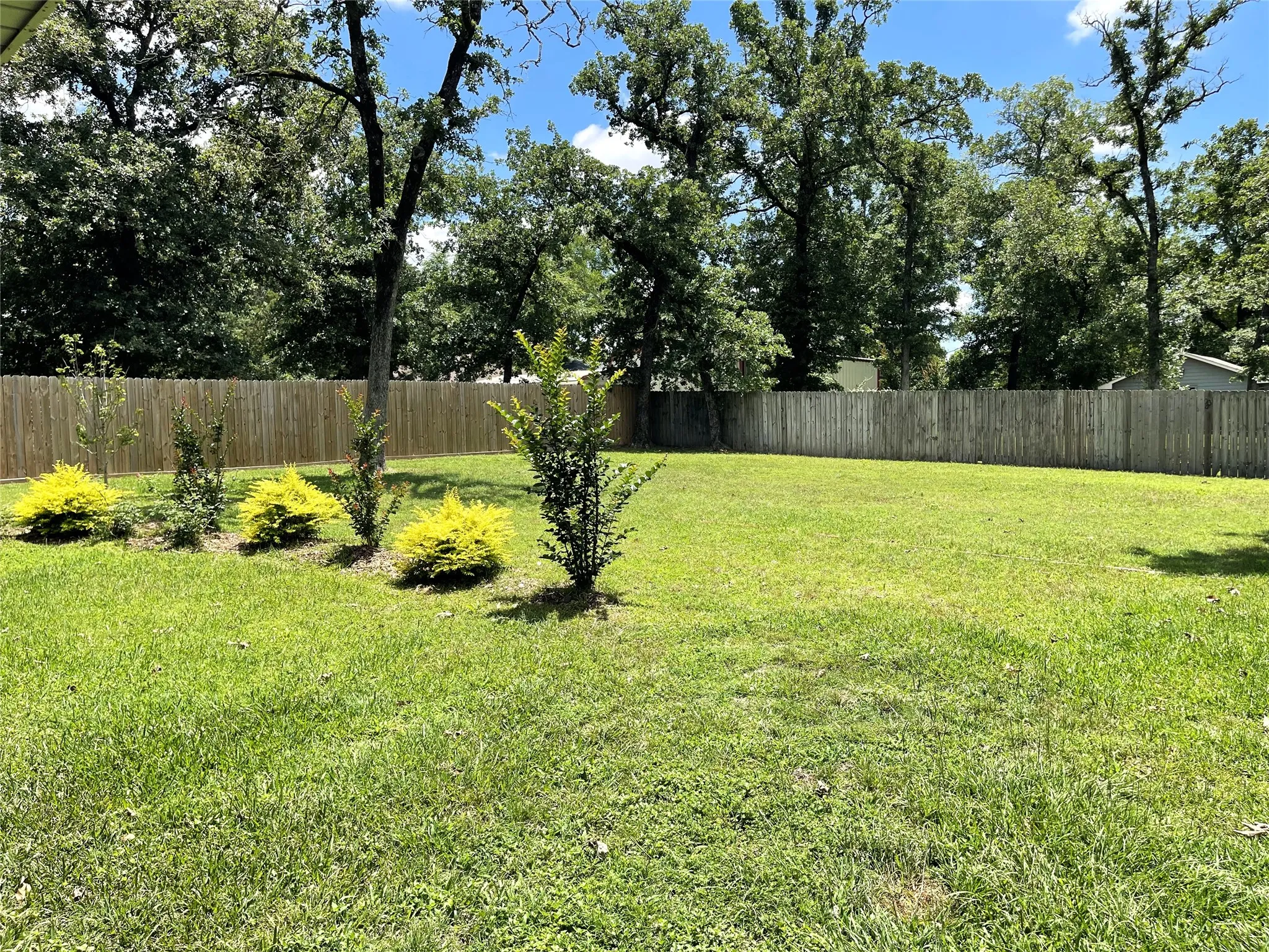 Fenced Backyard