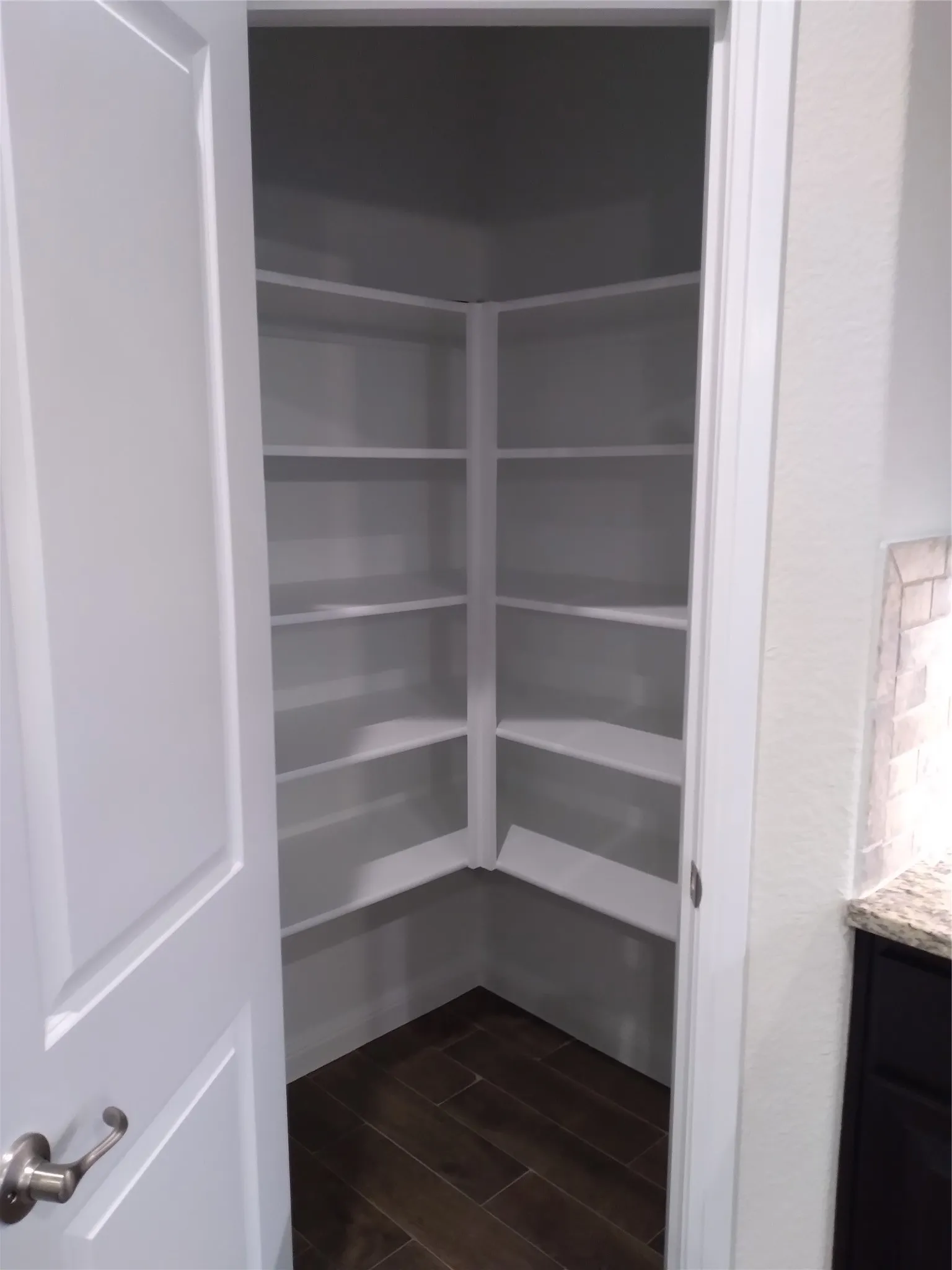 Walk-in pantry featuring built-in shelving, wood-finish tile flooring, and a panel door with brushed nickel hardware